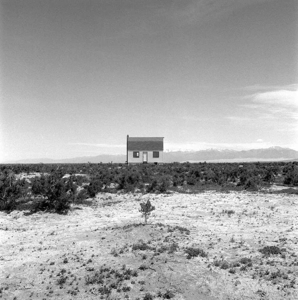 House and Tree.jpg