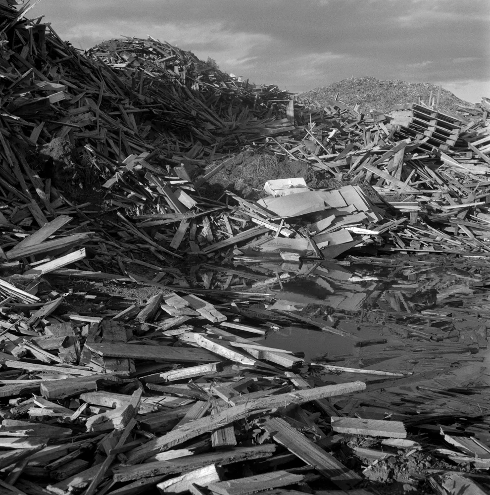 Landscape of Pallets.jpg