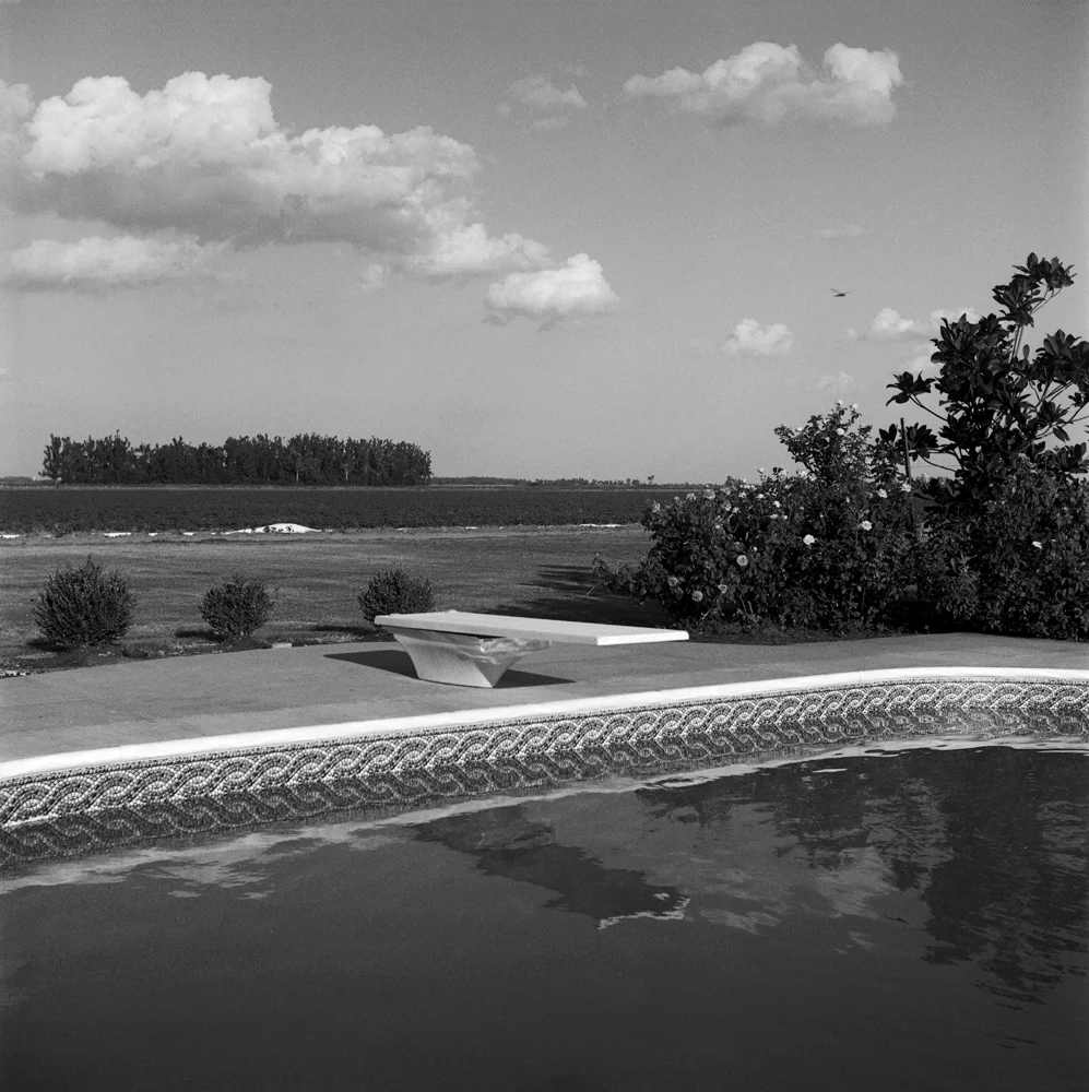 Pool and Diving Board.jpg