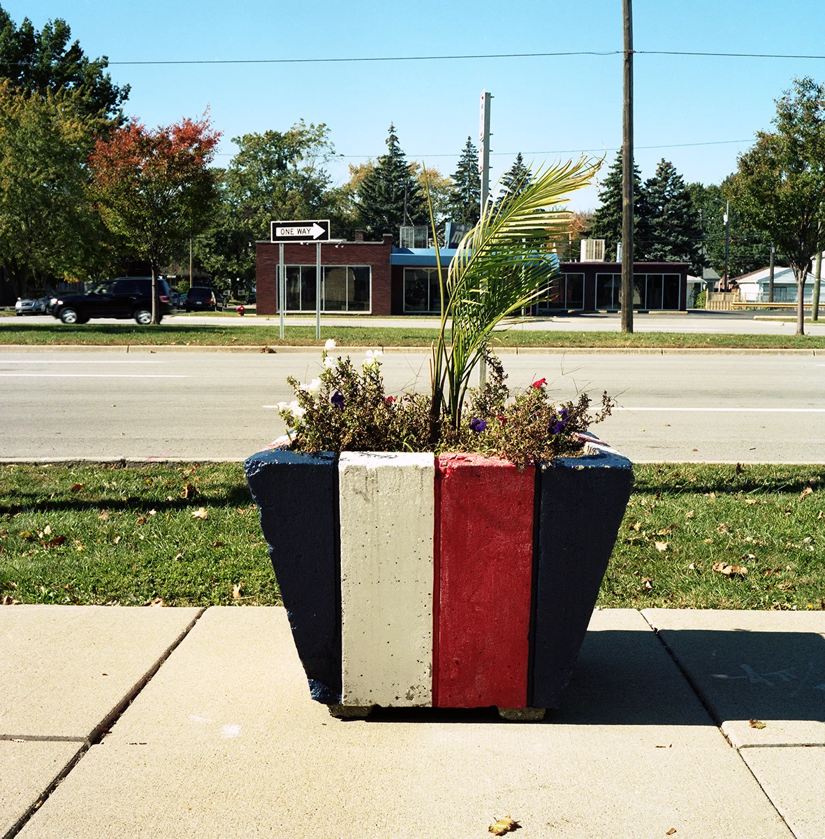 Patriotic Planter.jpg