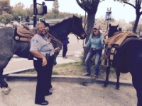 Sharon joking with Allison by pretending to give her a parking ticket while her horse is tied to the parking meter