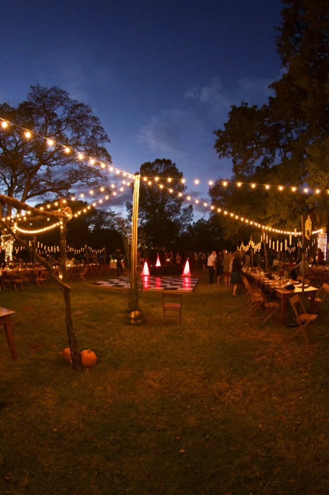 String Lighting.jpg