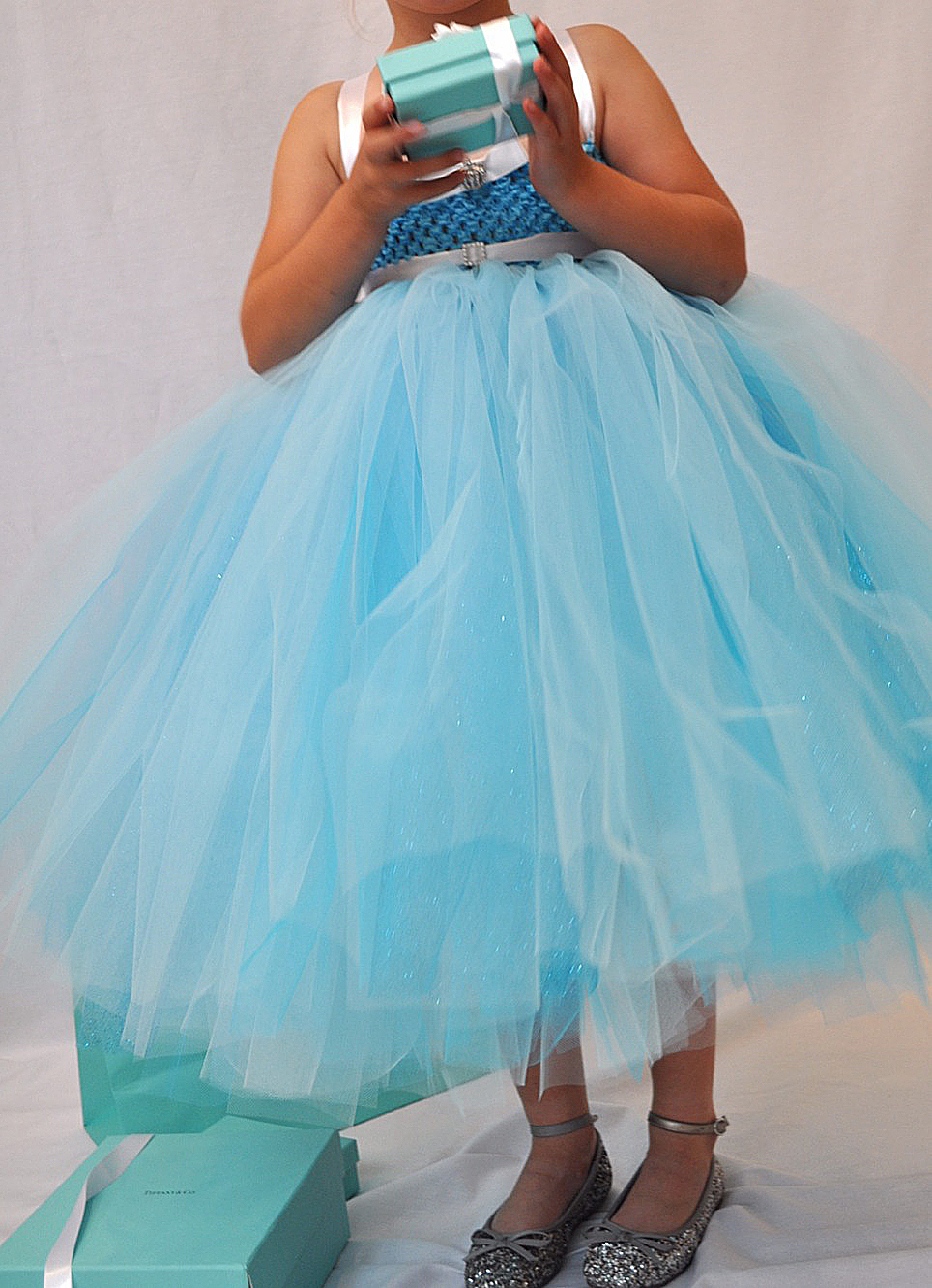 Tiffany Princess Dress