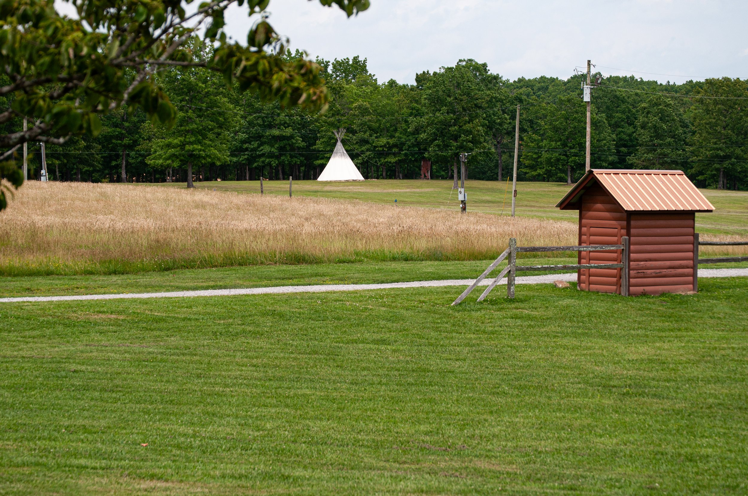 DSC_0073.jpg
