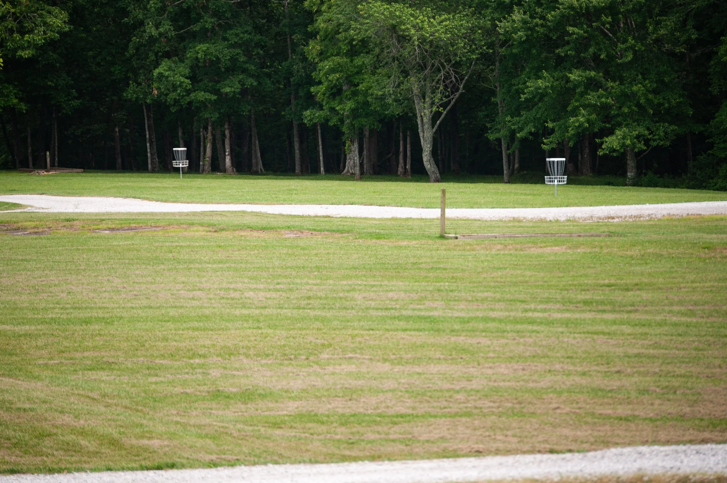 DSC_0075.jpg