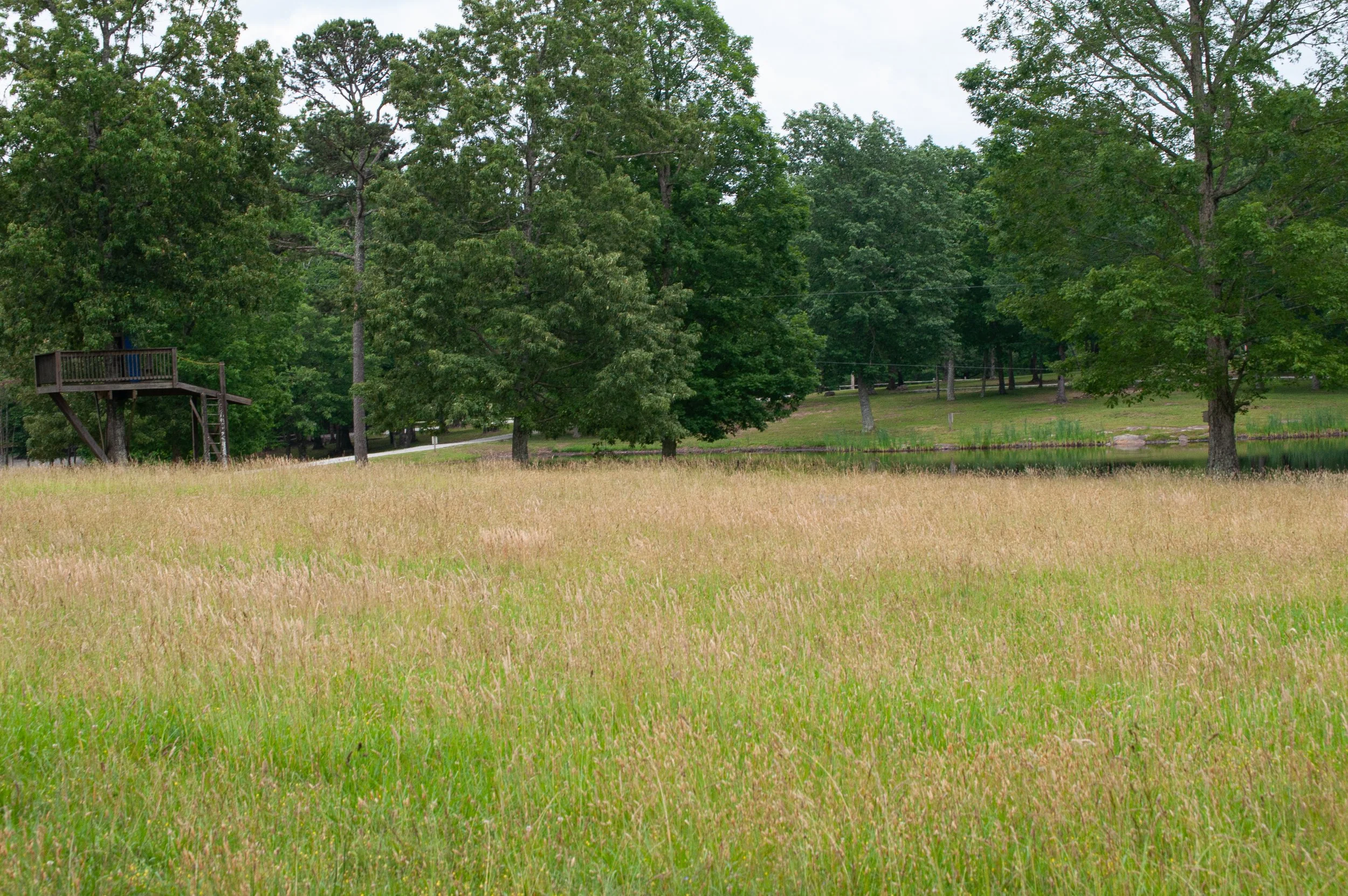 DSC_0107.jpg