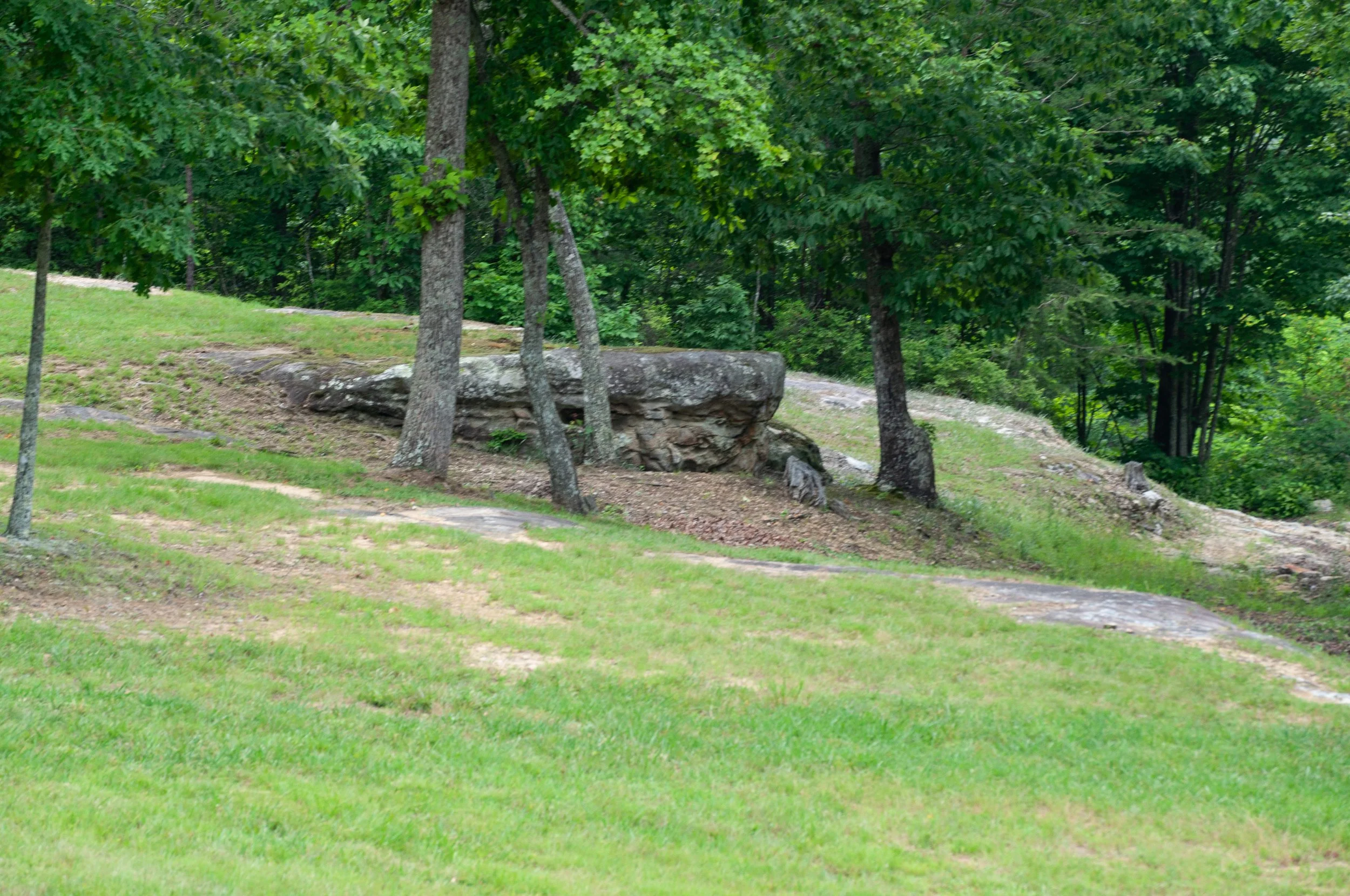 DSC_0129.jpg