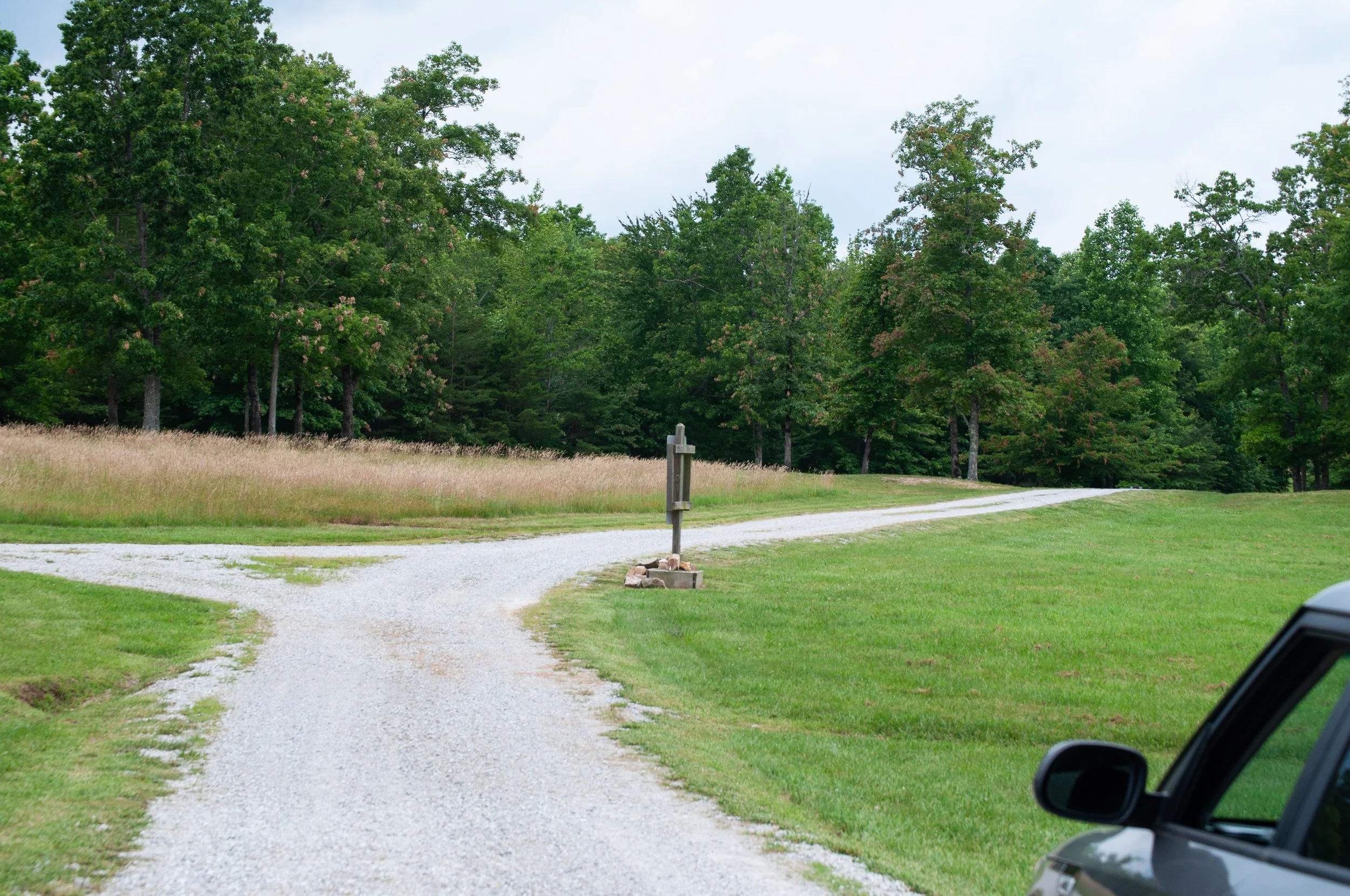 DSC_0136.jpg