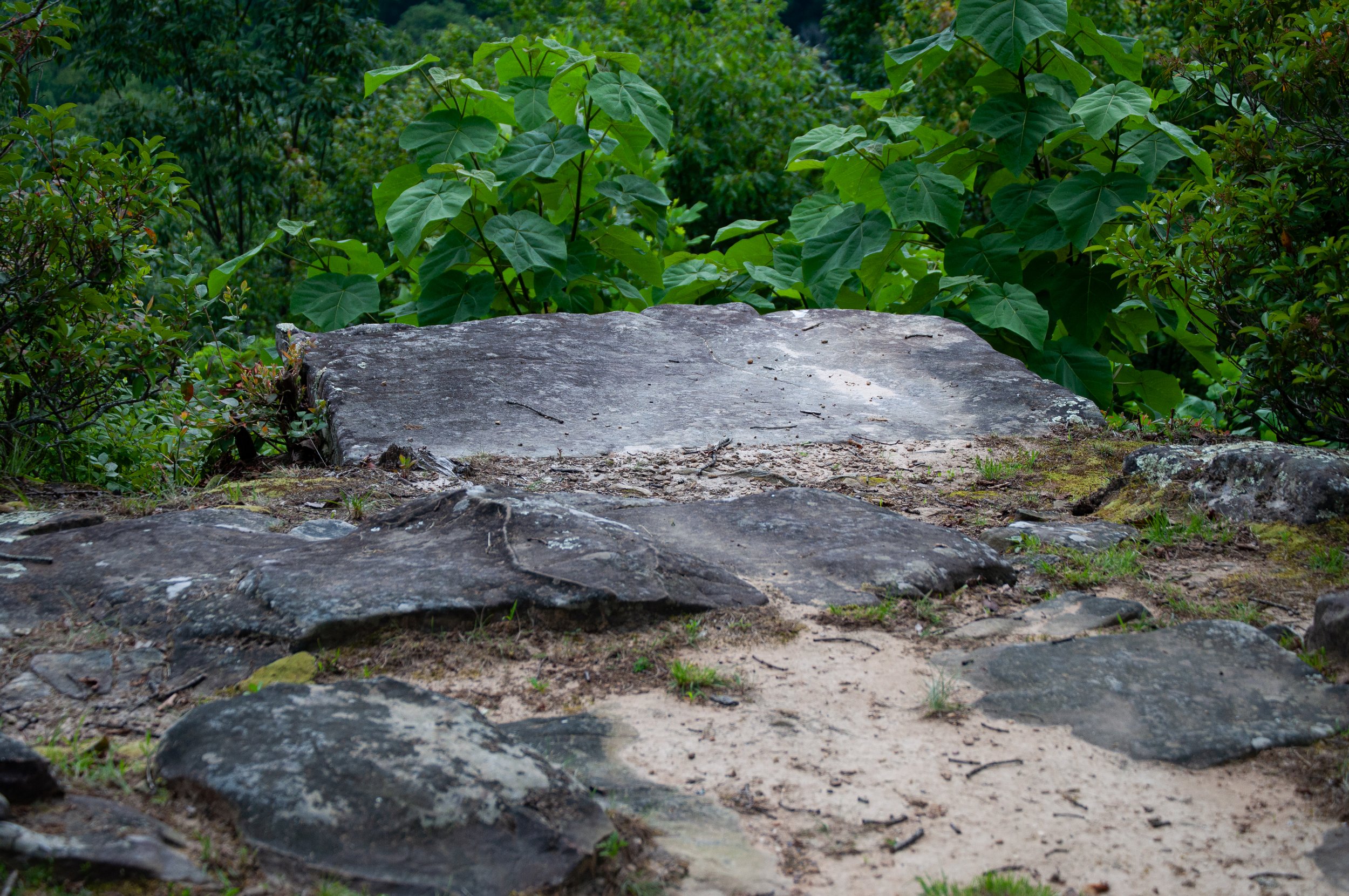 DSC_0143-2.jpg