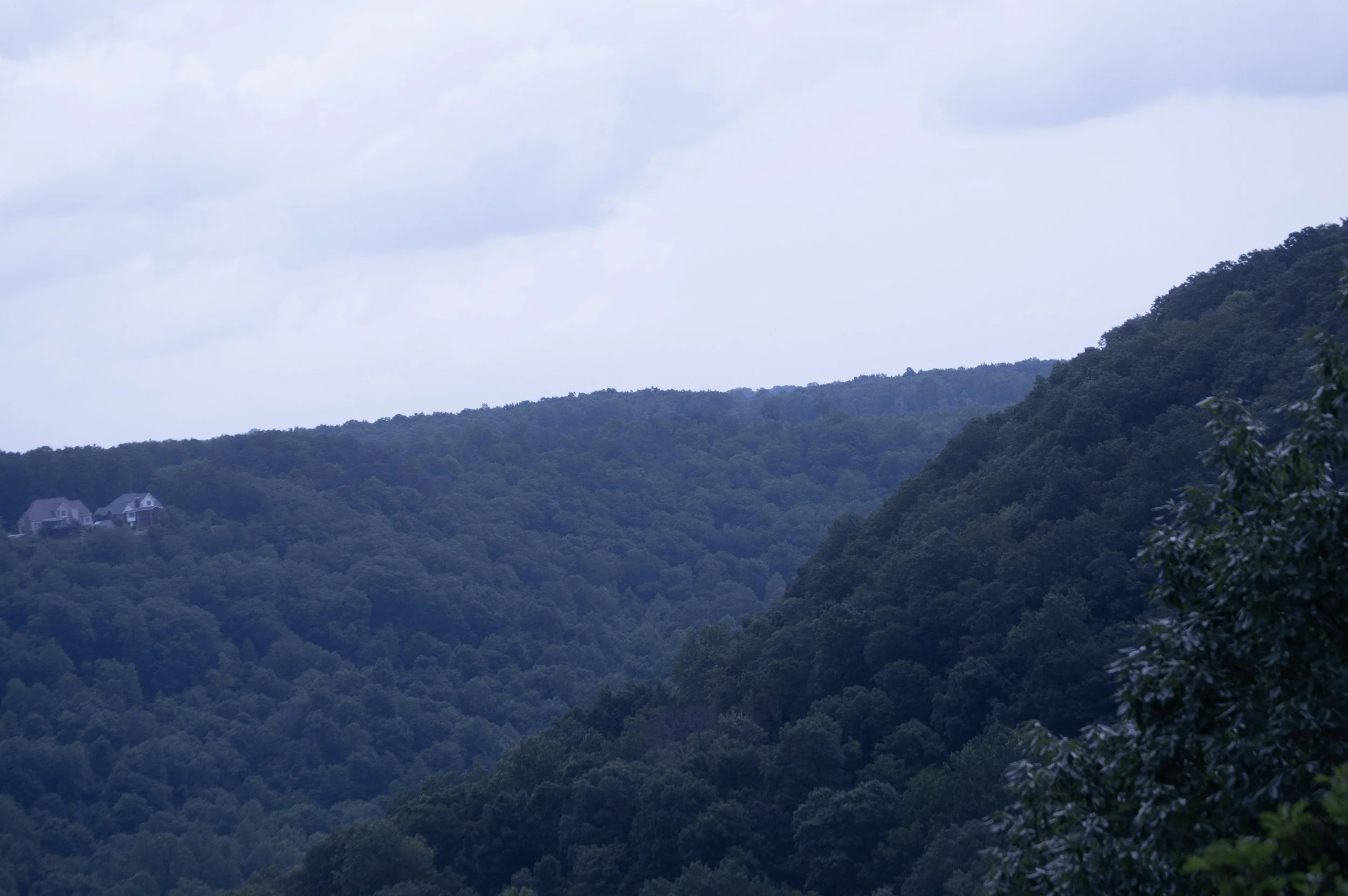 DSC_0163.jpg
