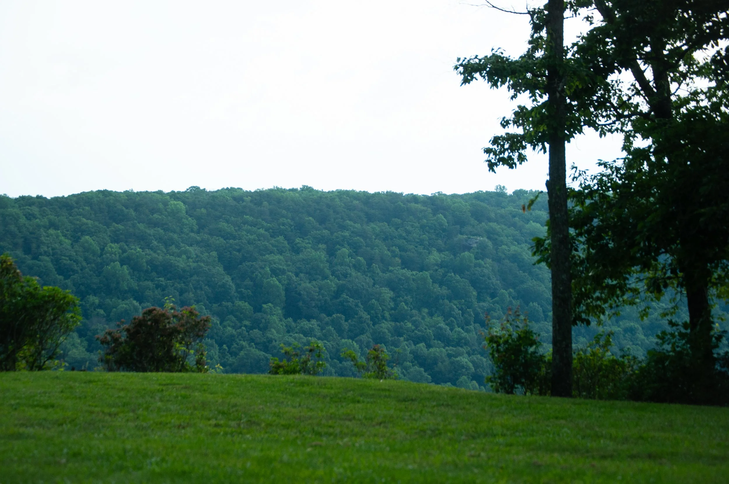DSC_0188.jpg