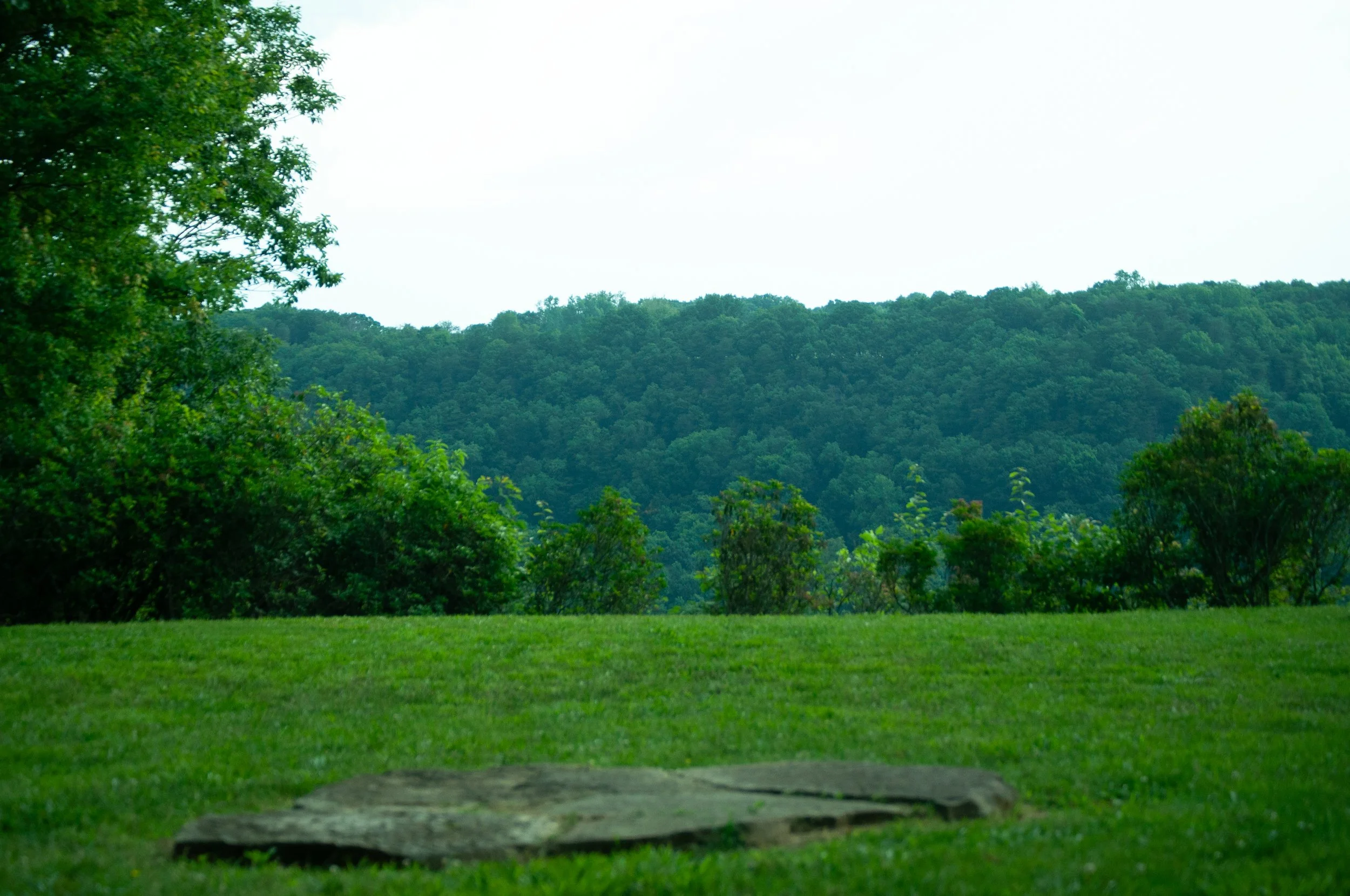 DSC_0189.jpg