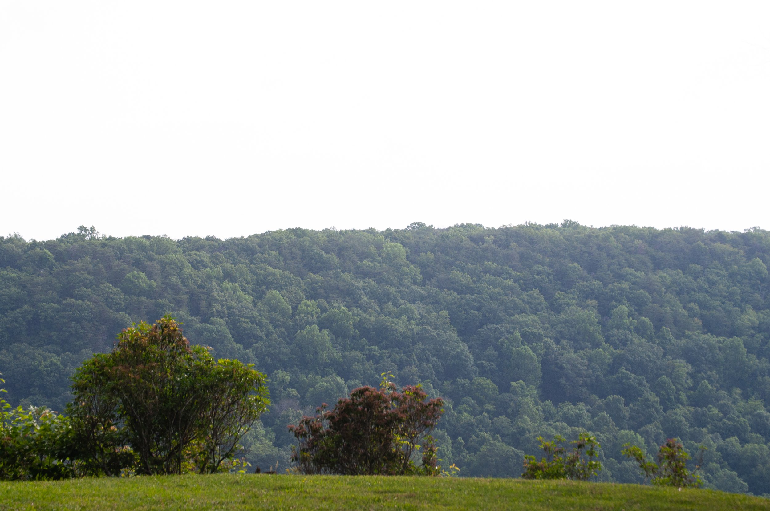 DSC_0193-2.jpg
