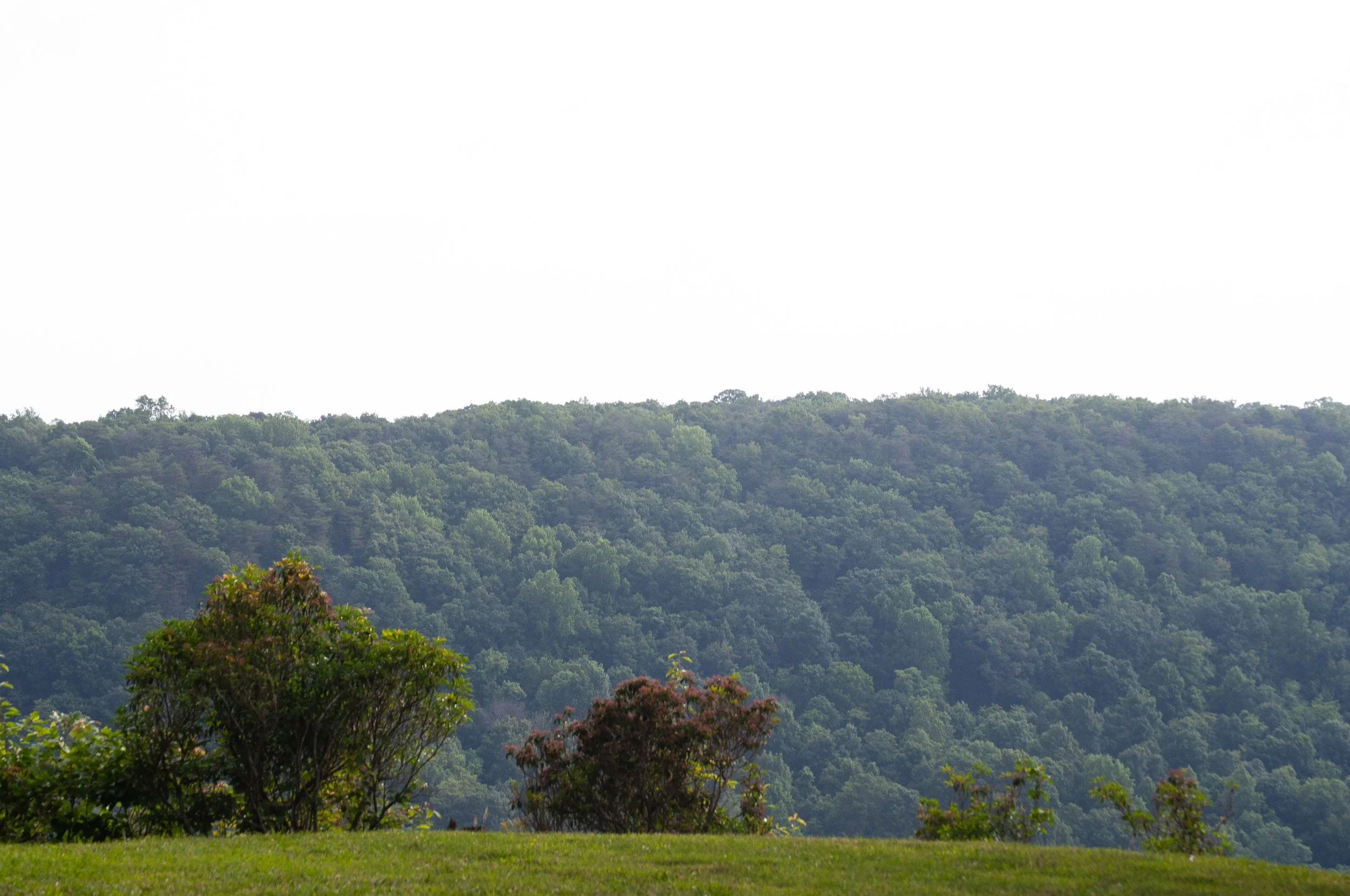 DSC_0193.jpg