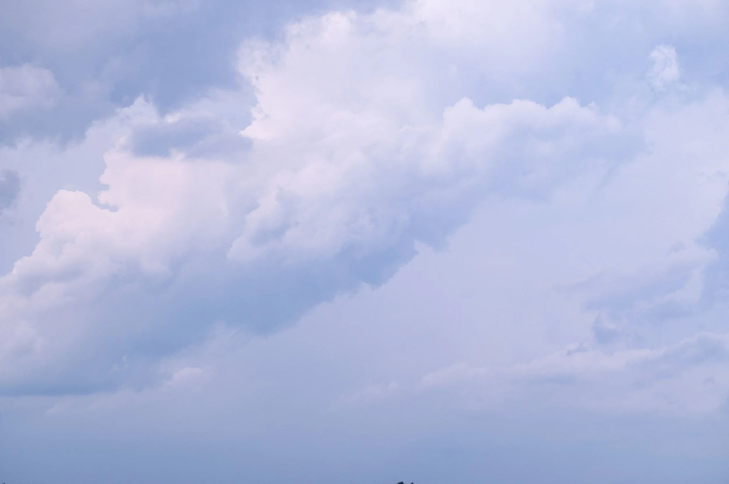 DSC_0194.jpg