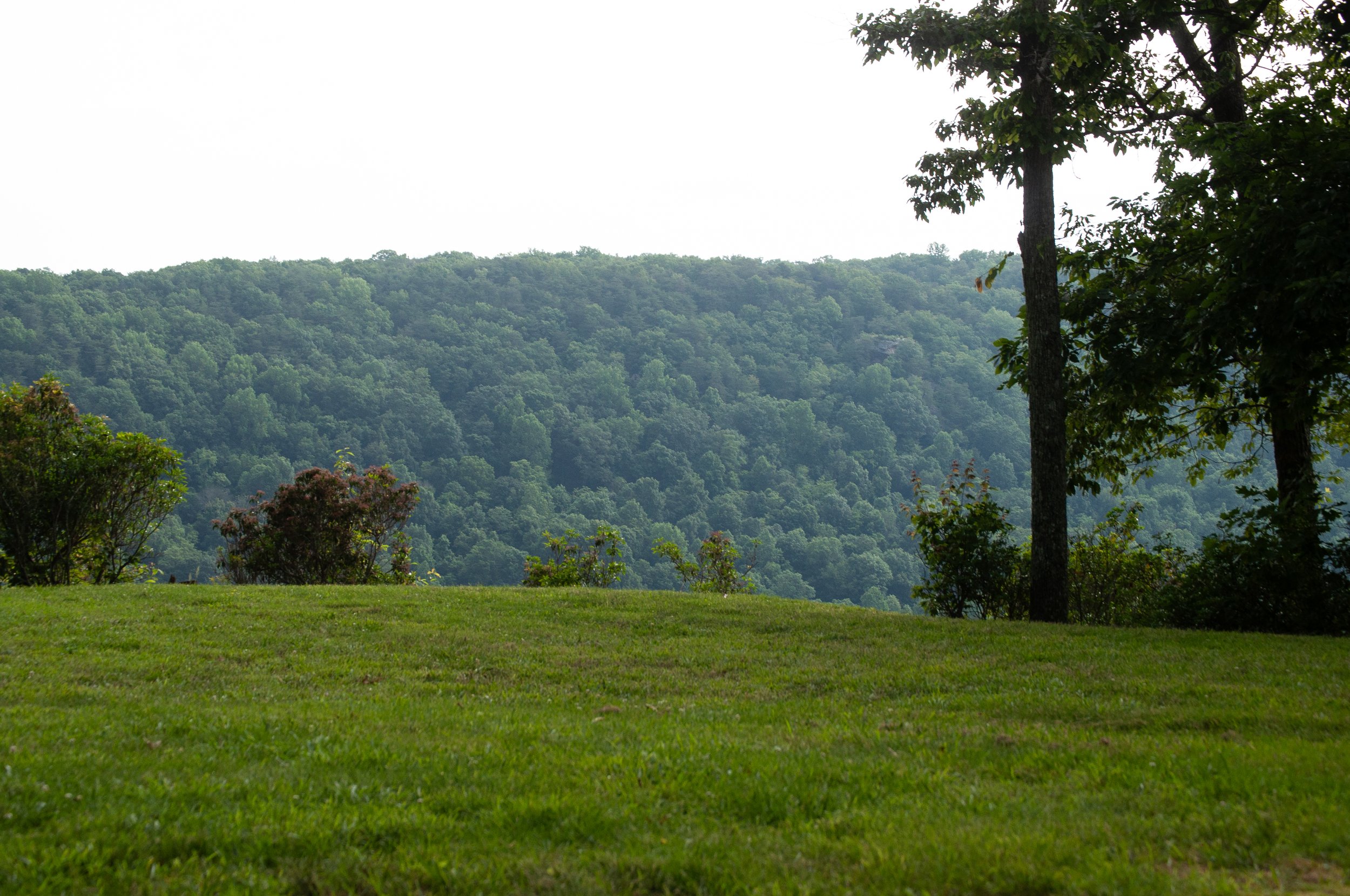 DSC_0196.jpg