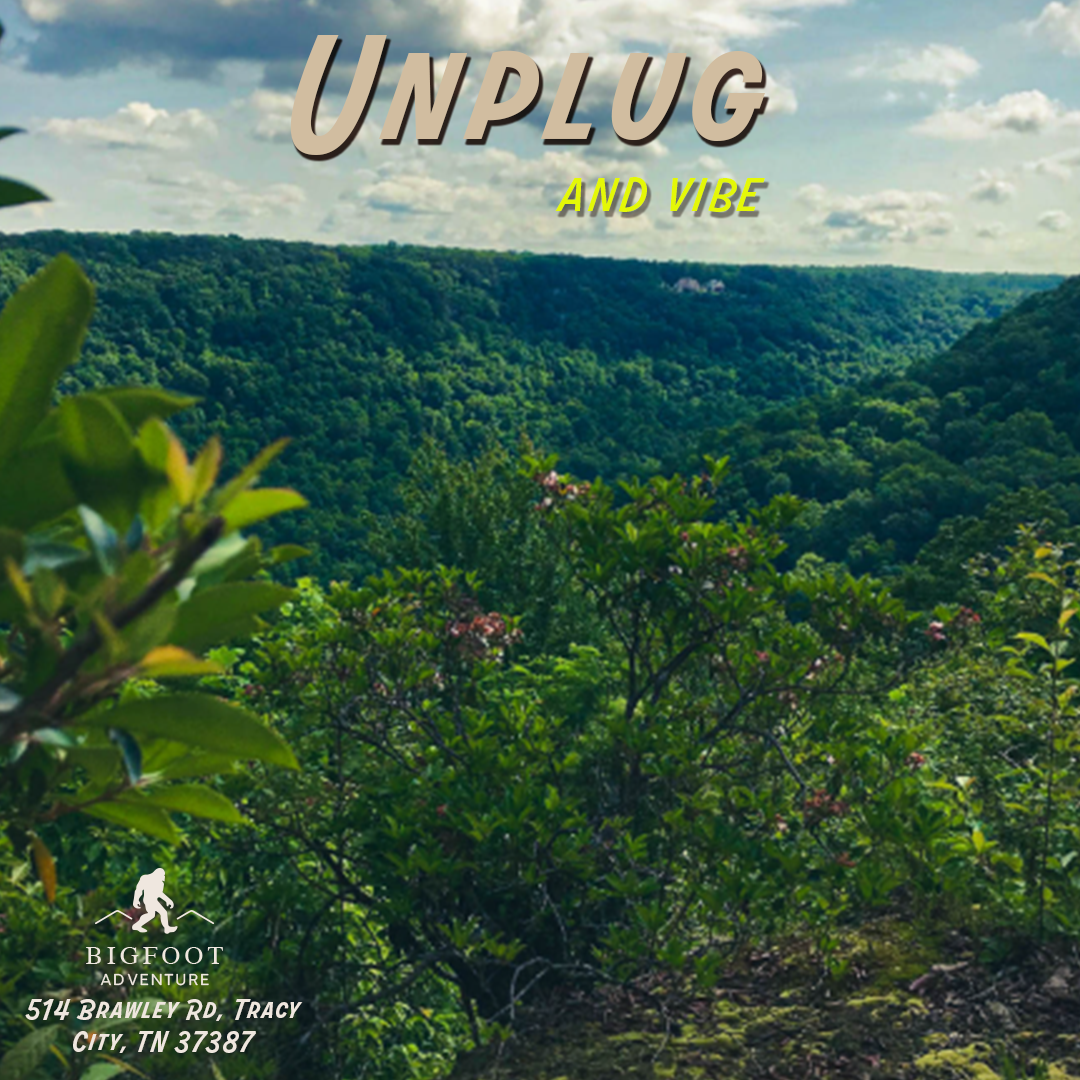 ActivitiesUnplug2.png