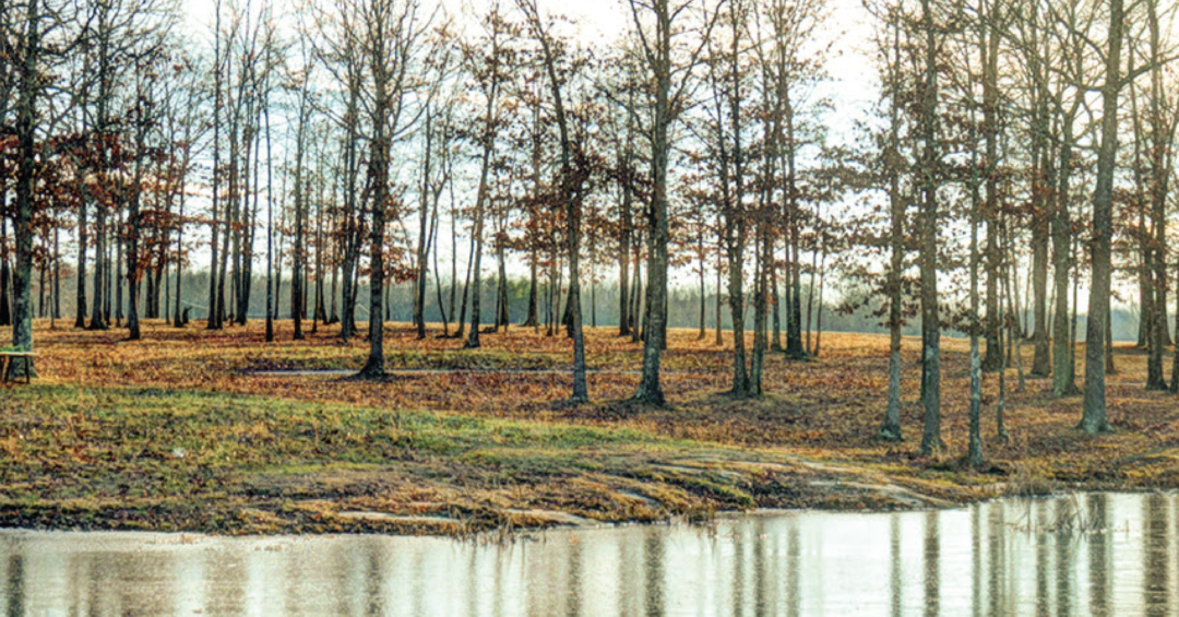 Baggenstoss-Farms-Lake.png
