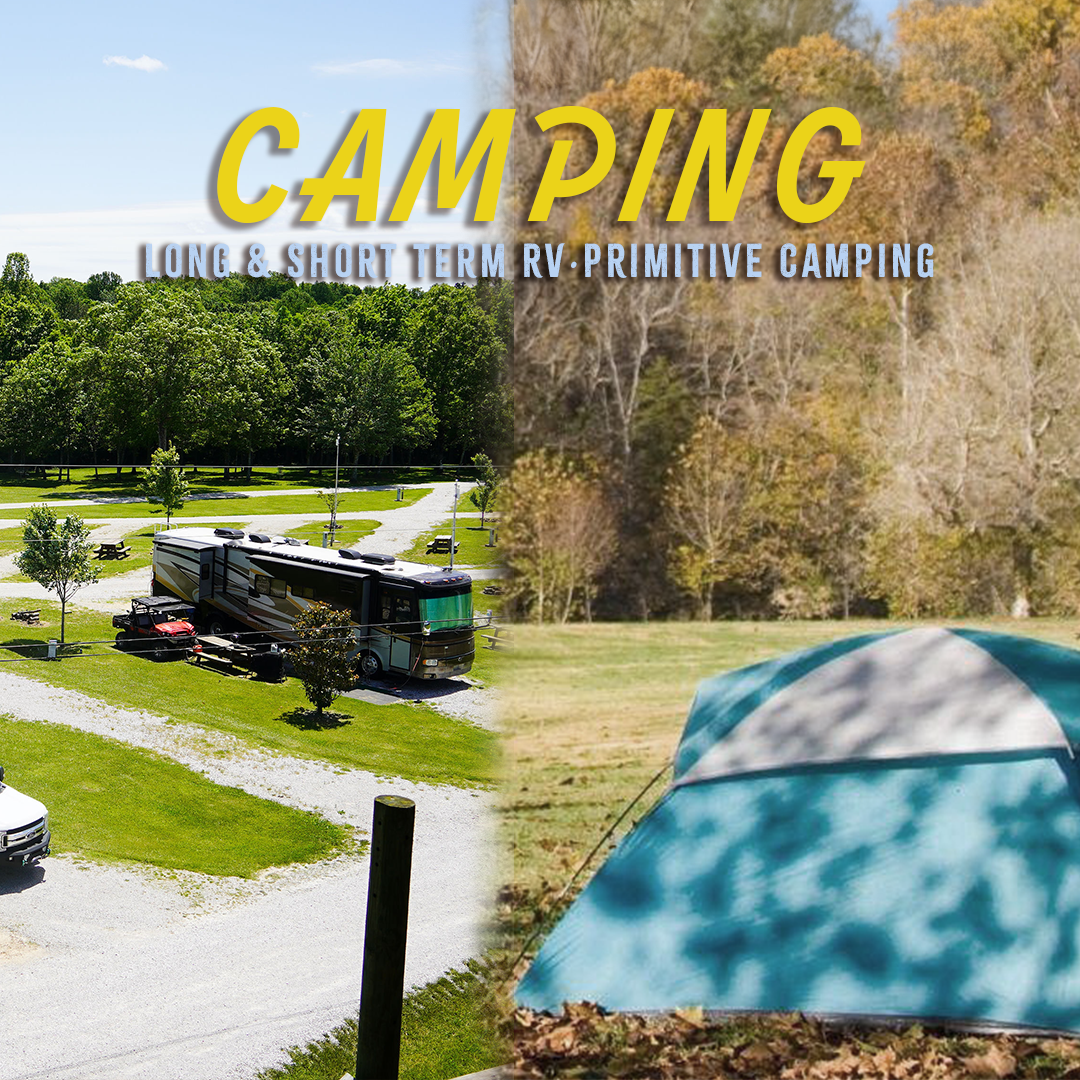 camping.png
