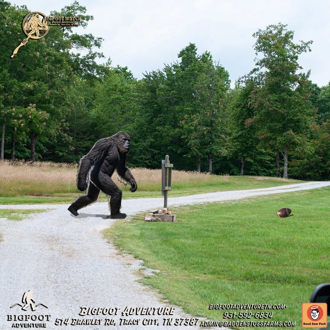 Bigfootwatchsocial4.jpg