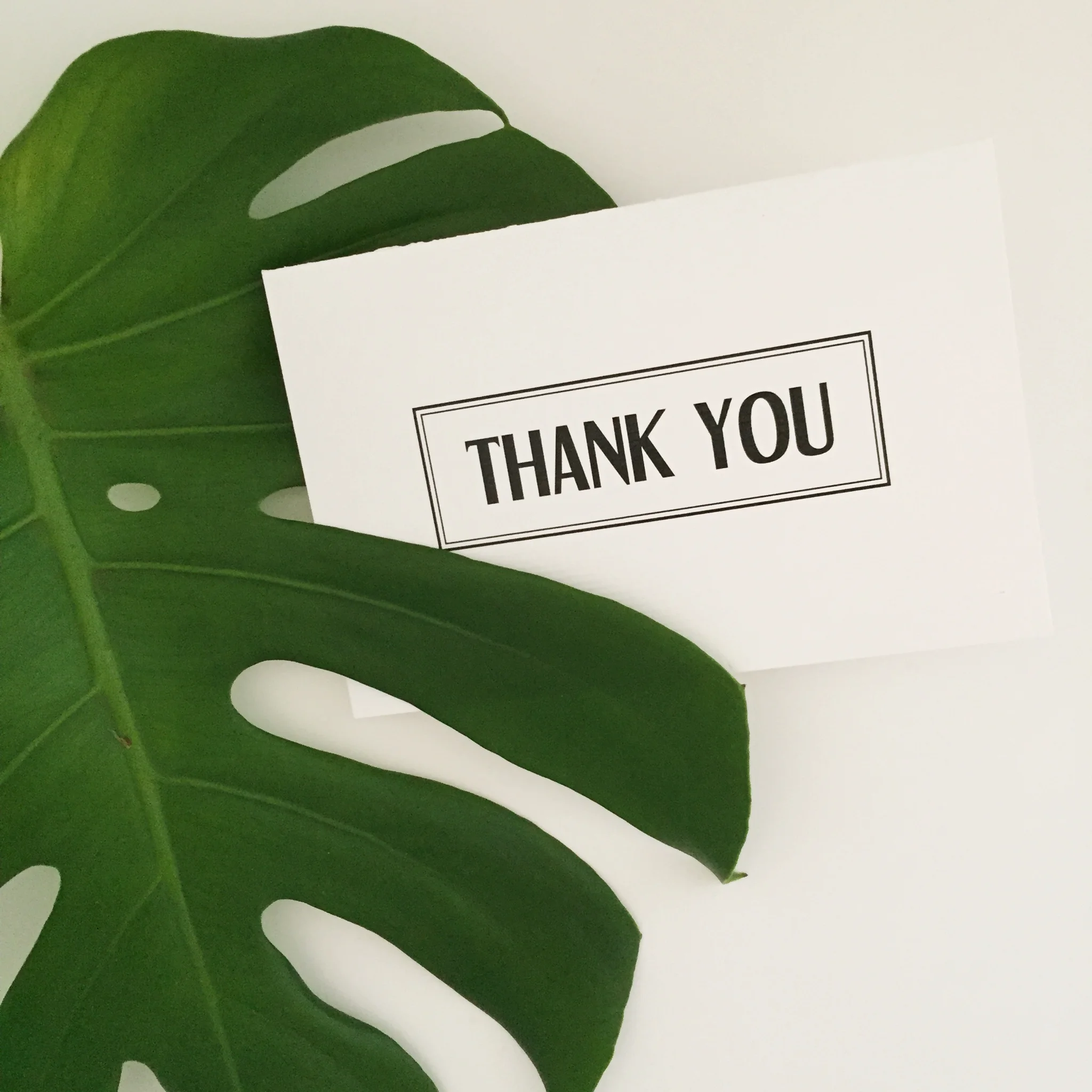 Thank You Greeting Card | V SHOP Stationery Vancouver
