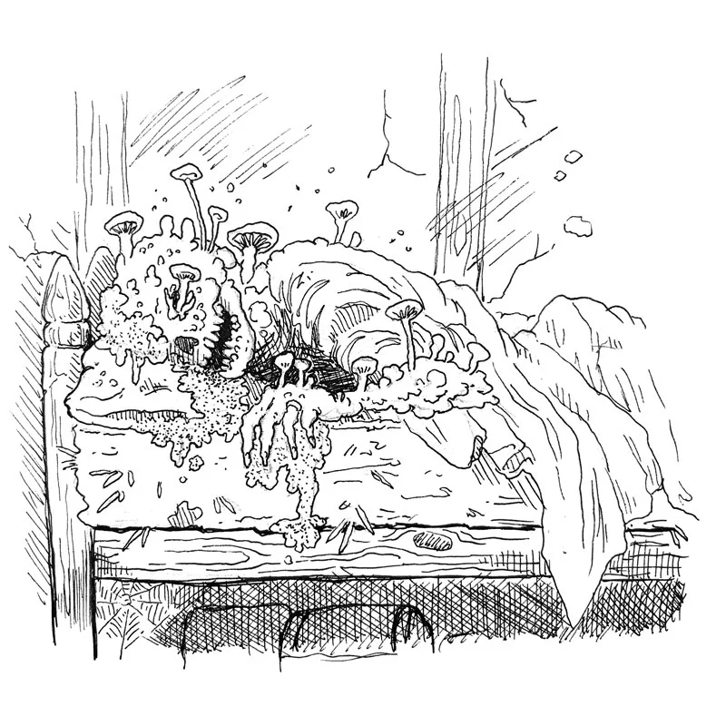 corpse.jpg