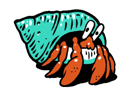 vdgn hermit crab web.gif