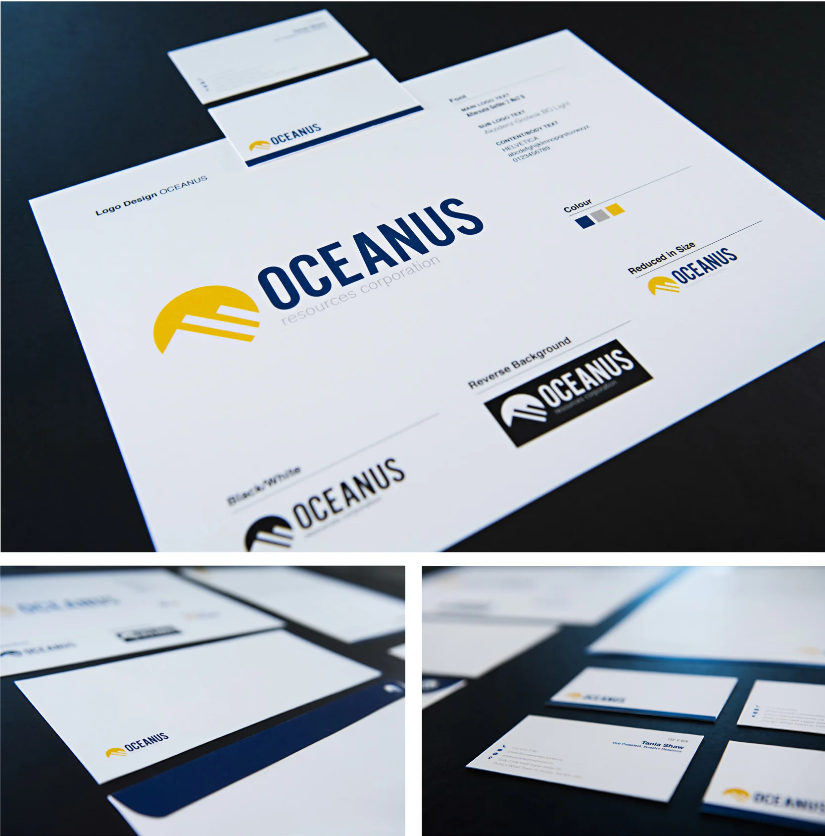 OCEANUS Branding Pitch Includes Letterhead, Business Cards and Envelopes
