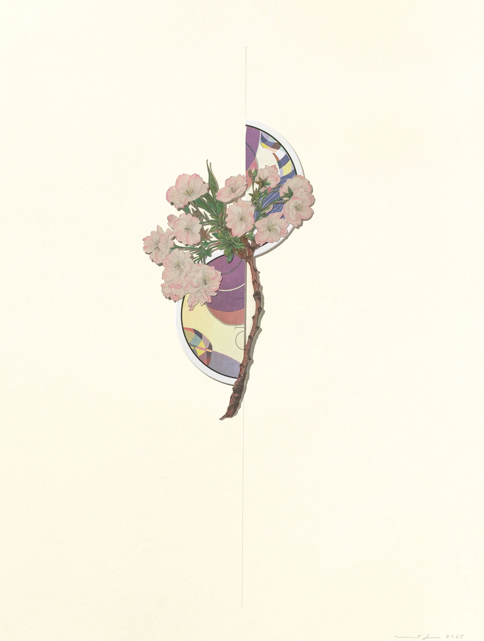 Oberlin Cherry Blossom, 2025 12 x 16 (SOLD)
