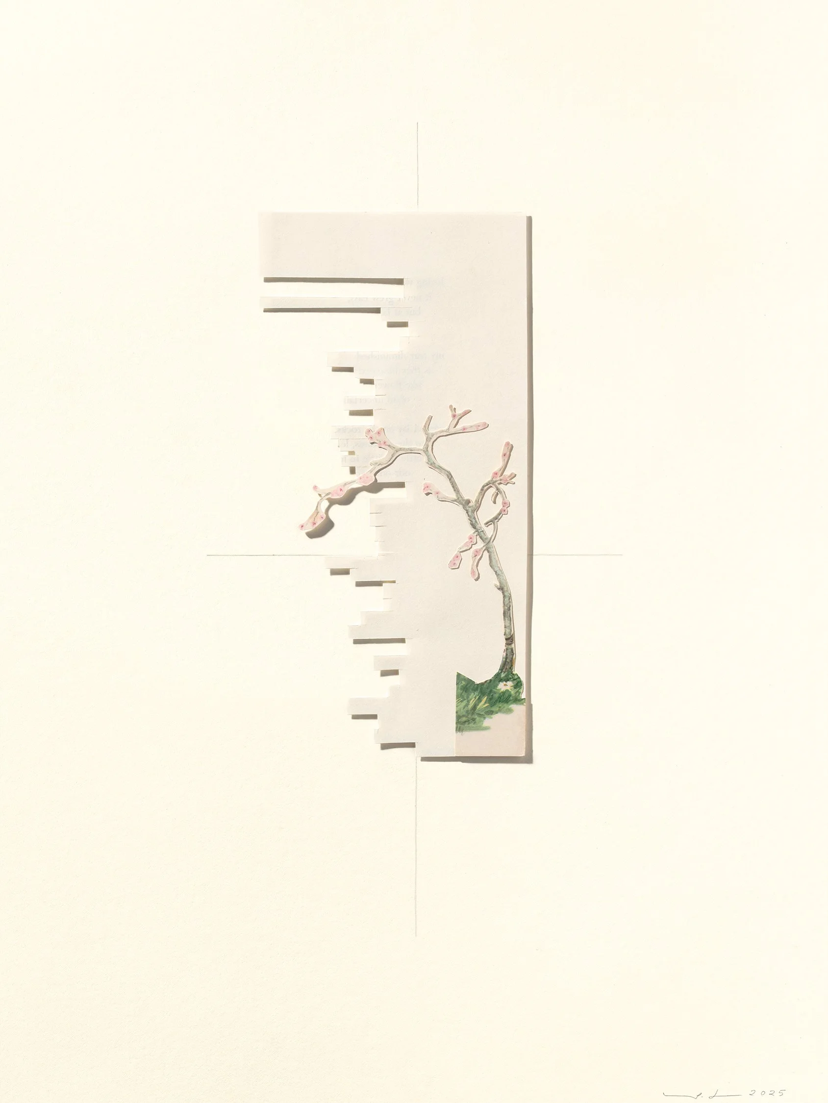 Missing, 2024 12 x 16