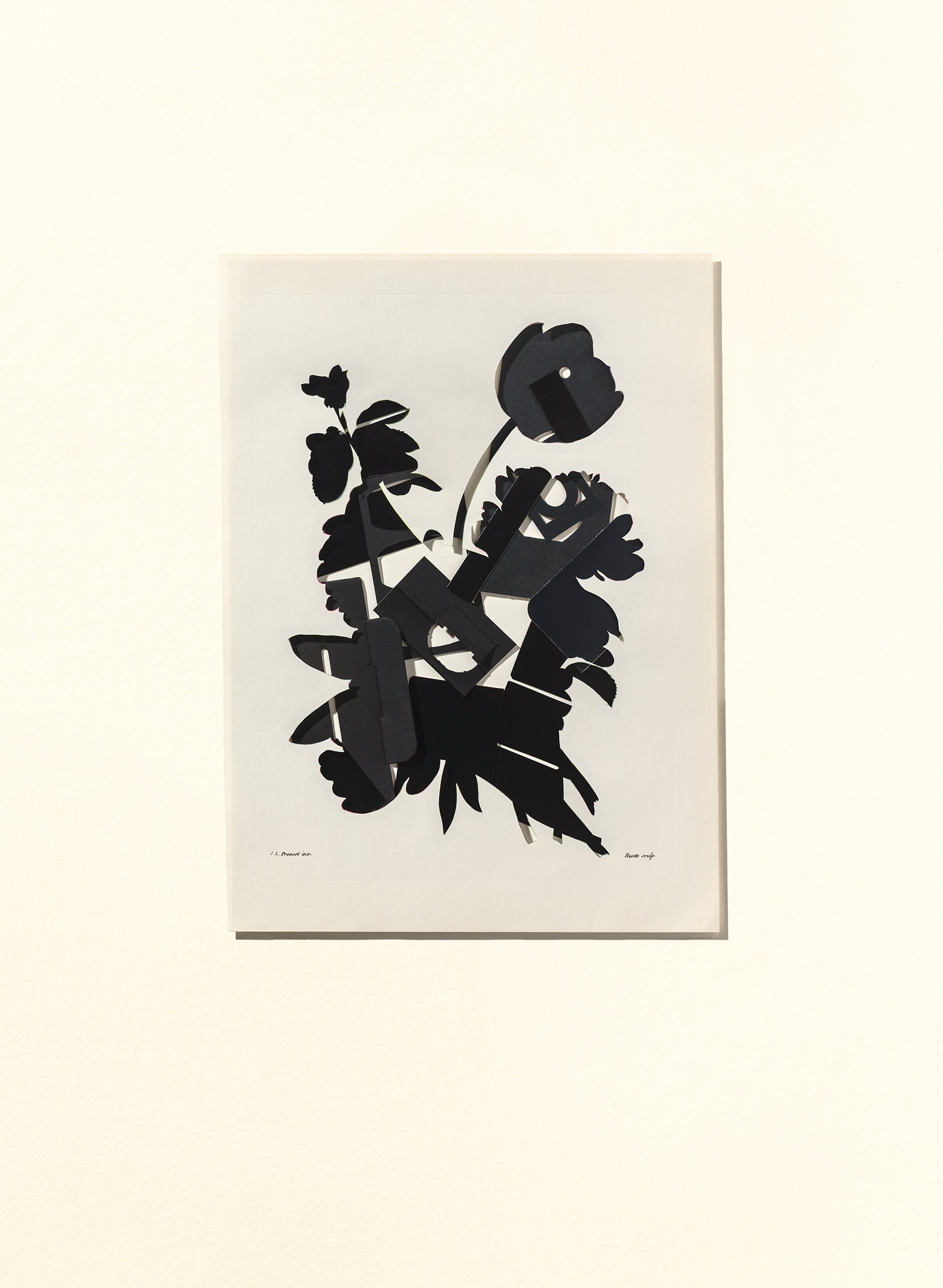 Black Floral Silhouette, 2025 22 x 30 