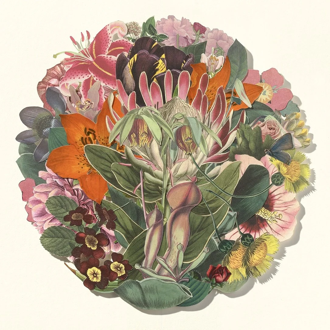 Lauren Jaben Floral Circle No.1- 18x25 small.jpeg