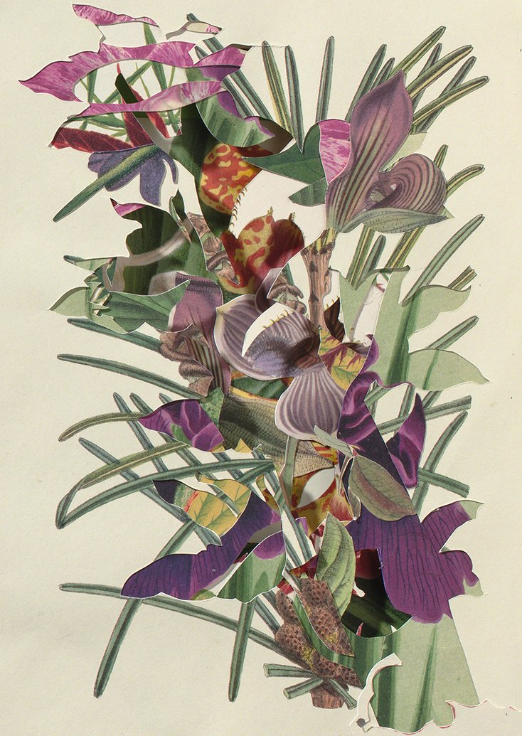 Exhuberant, Archival Inkjet Print, various sizes. 