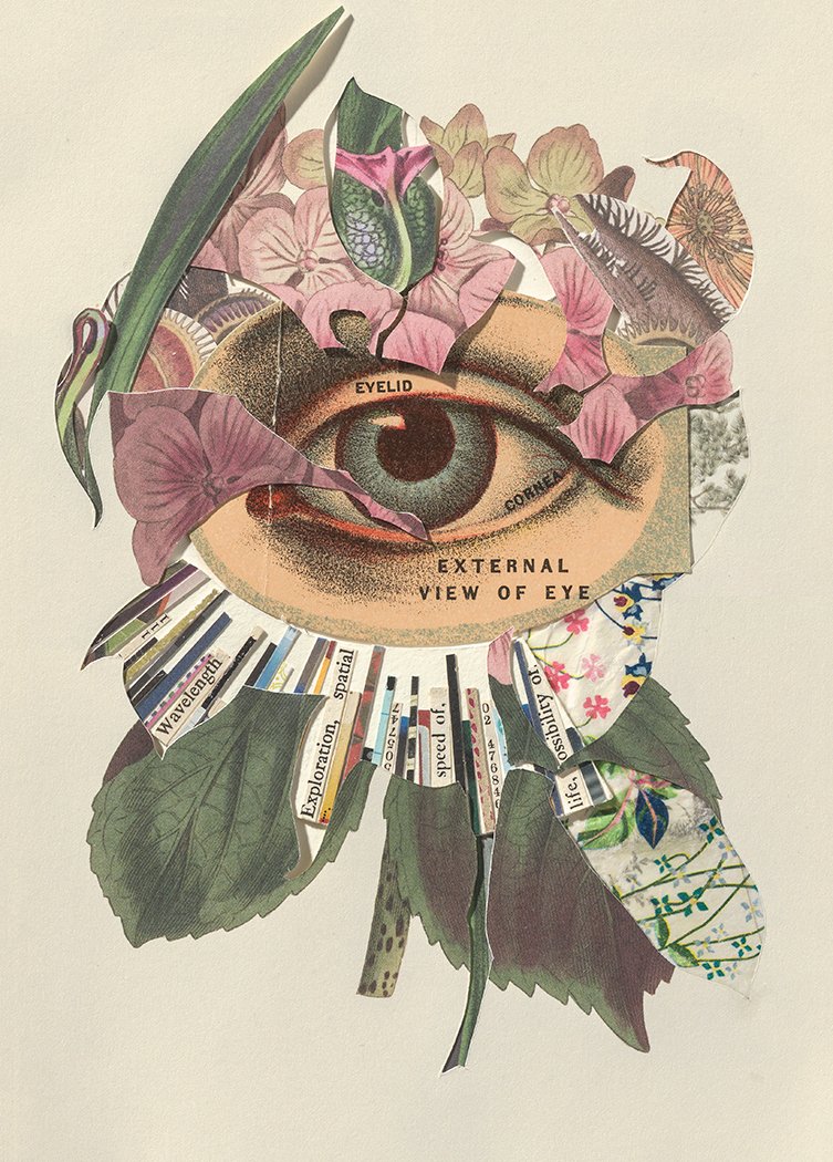 External View of the Eye (Seeing Clearly). Archival Pigment Print, Various Sizes 