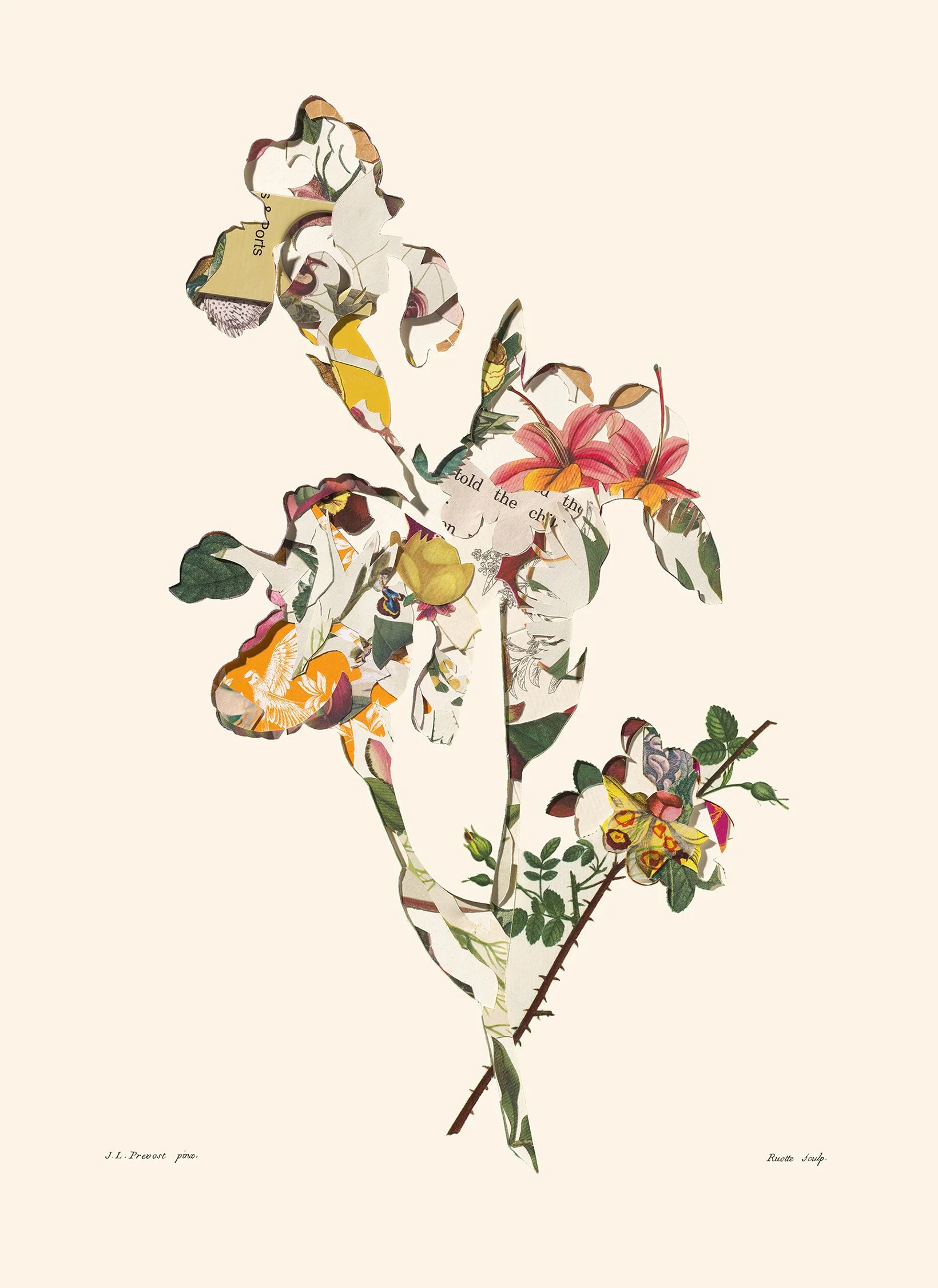 More Than Meets the Iris, 22 x 30 2026