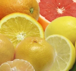Four Fruit Marmalade