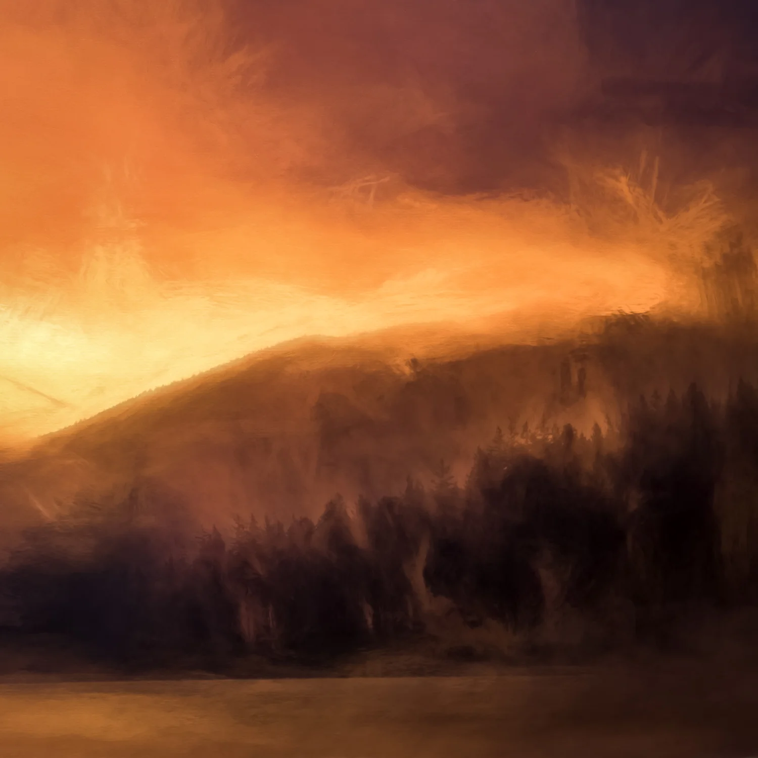 Morning Mist