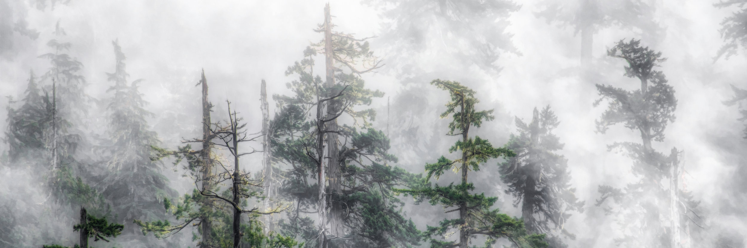 Quinalt Mist