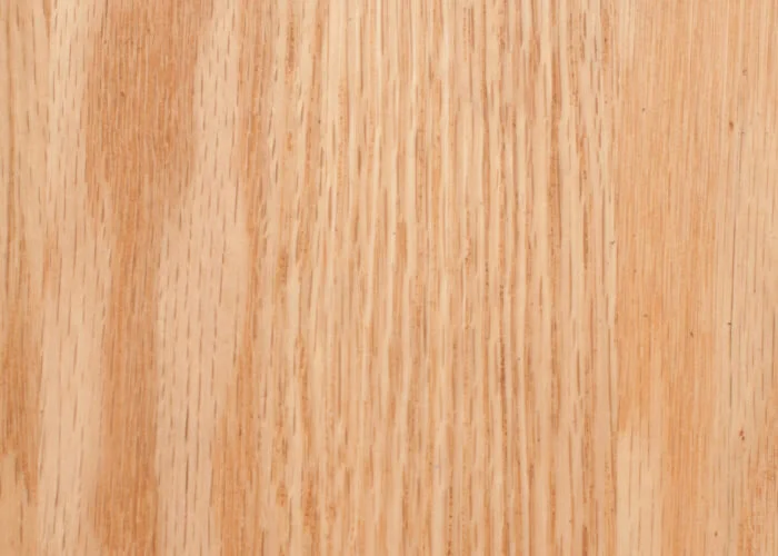 RED OAKCaribou Red Oak
