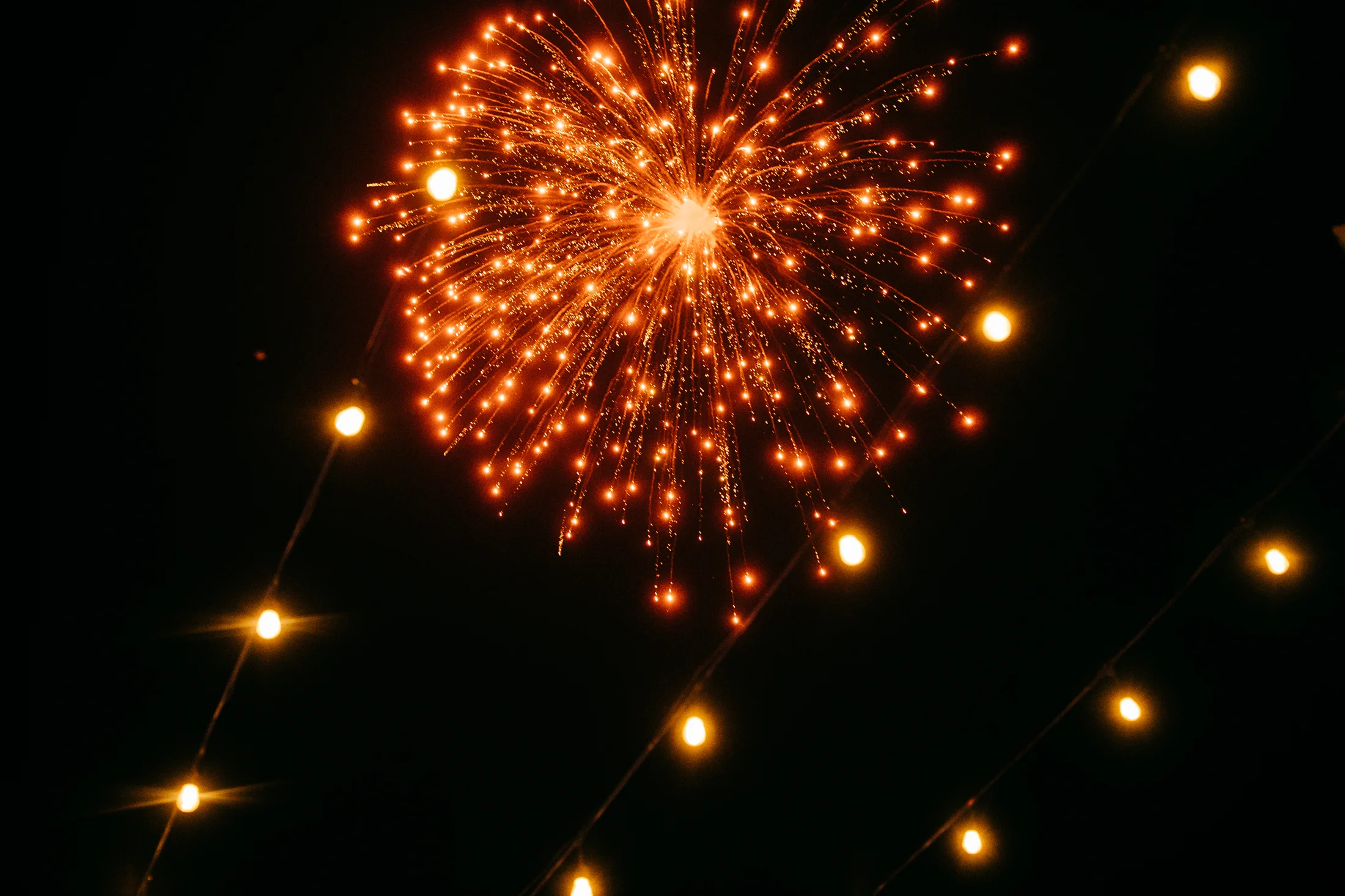 Party_web-88.jpg