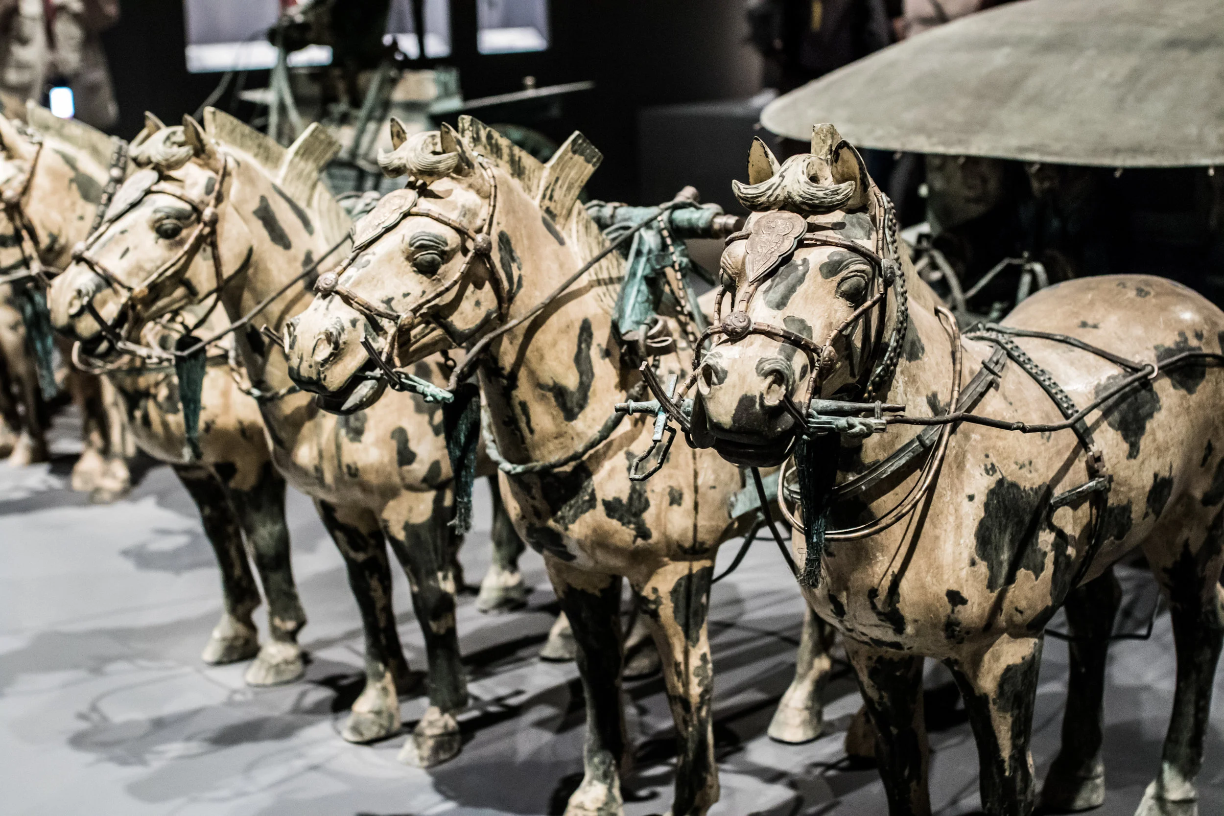 There was an amazing Chinese exhibition (Age of Empires: Chinese art of the Qin and Han Dynasties) while we were there. Overwhelmingly amazing... 