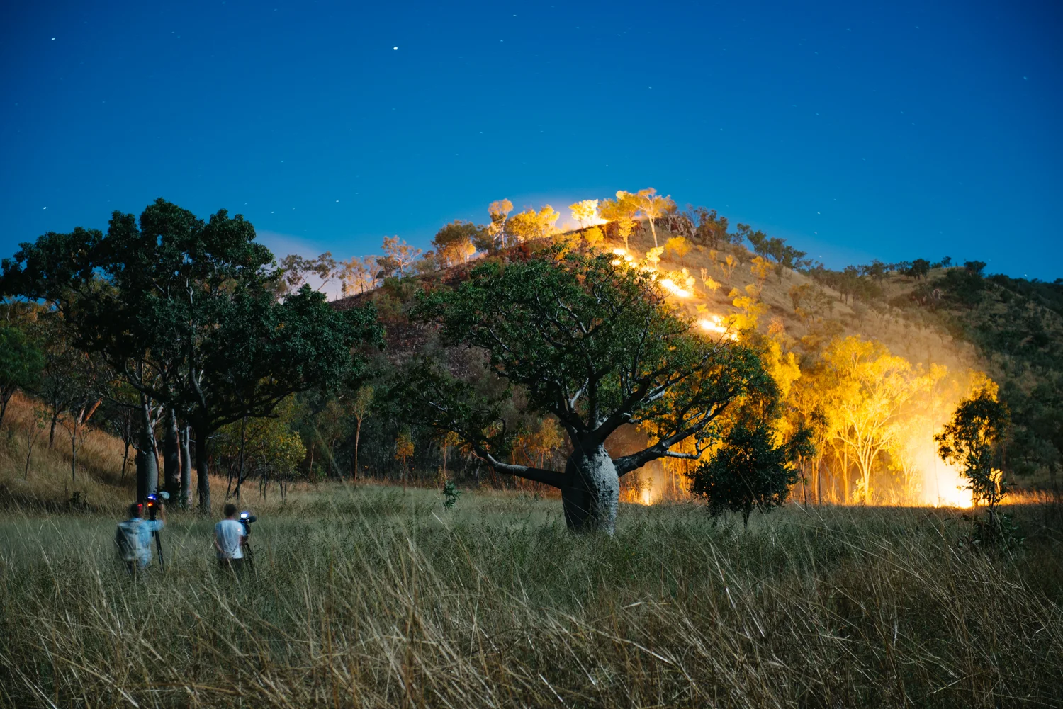 Ord Valley Muster  1702.jpg