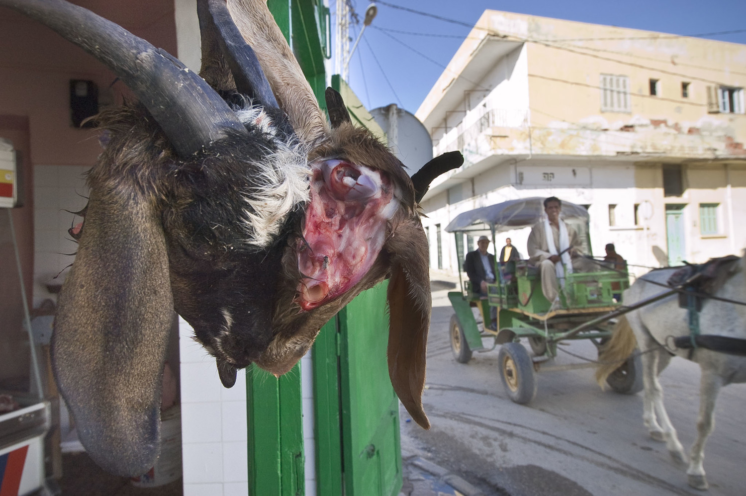 Butcher in Tunisia.jpg