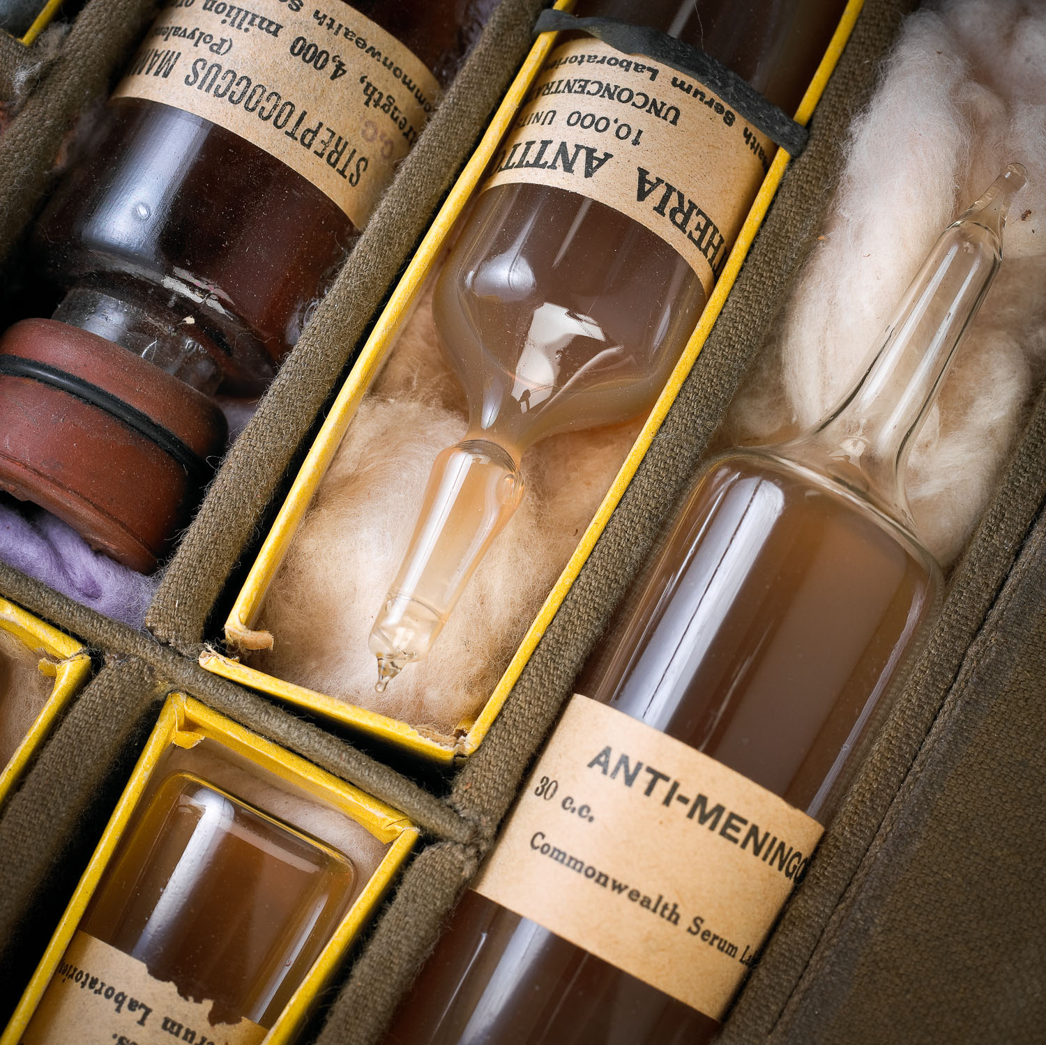 Museum Victoria - Medical case.jpg