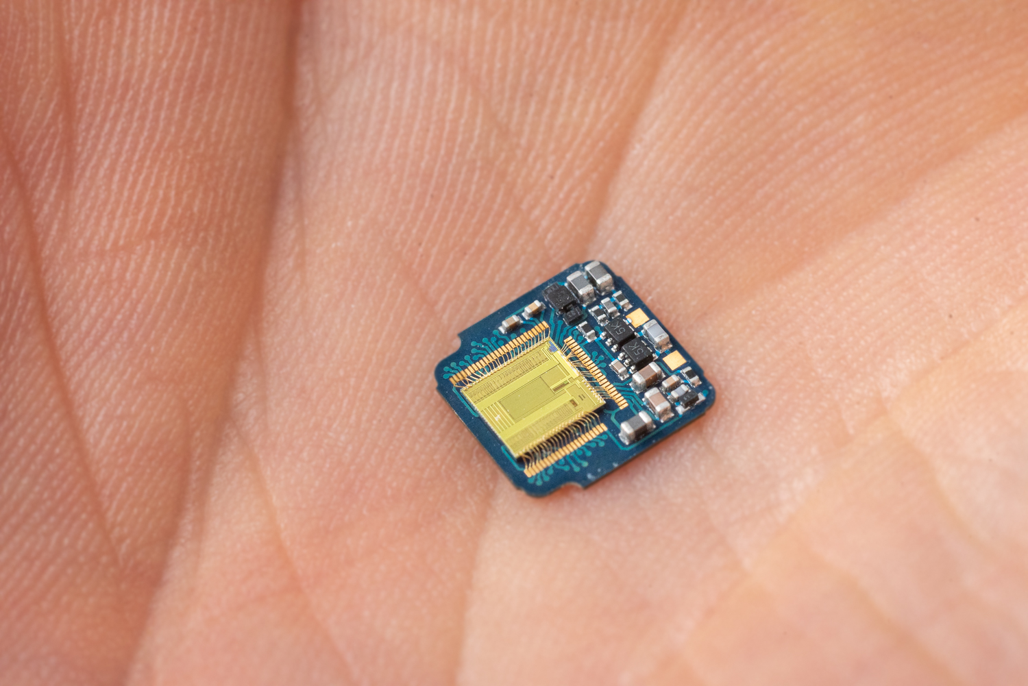 Monash_Vision_Group-Microchip-3.jpg