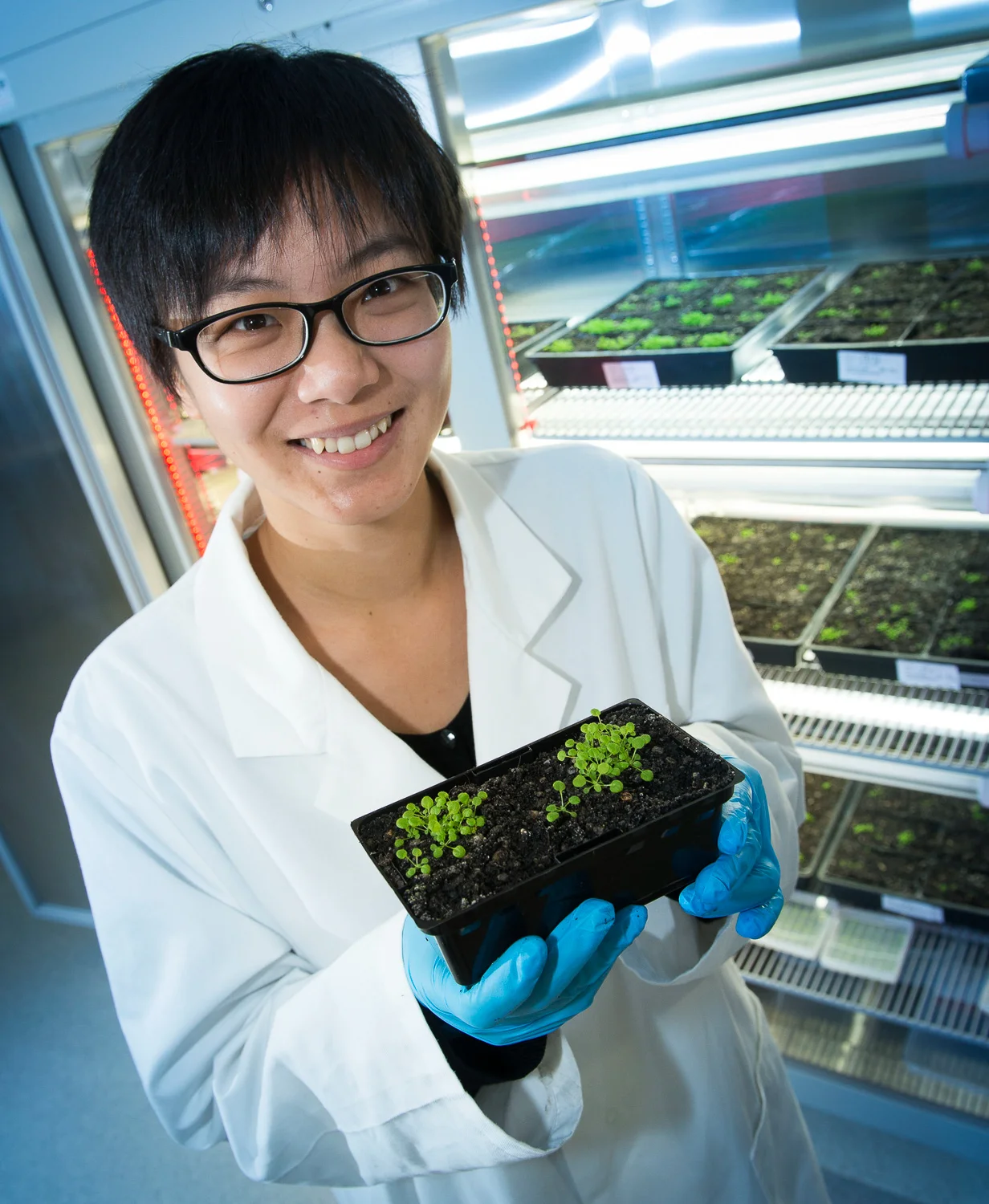 Research, AgriBio, La Trobe University.jpg