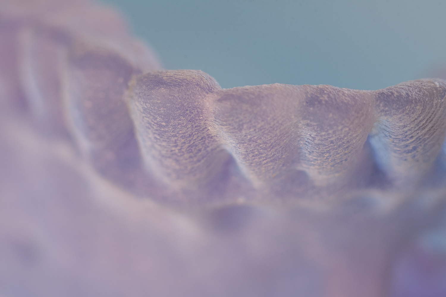 Woodside-3D printing-ErinBrodie-28.jpg