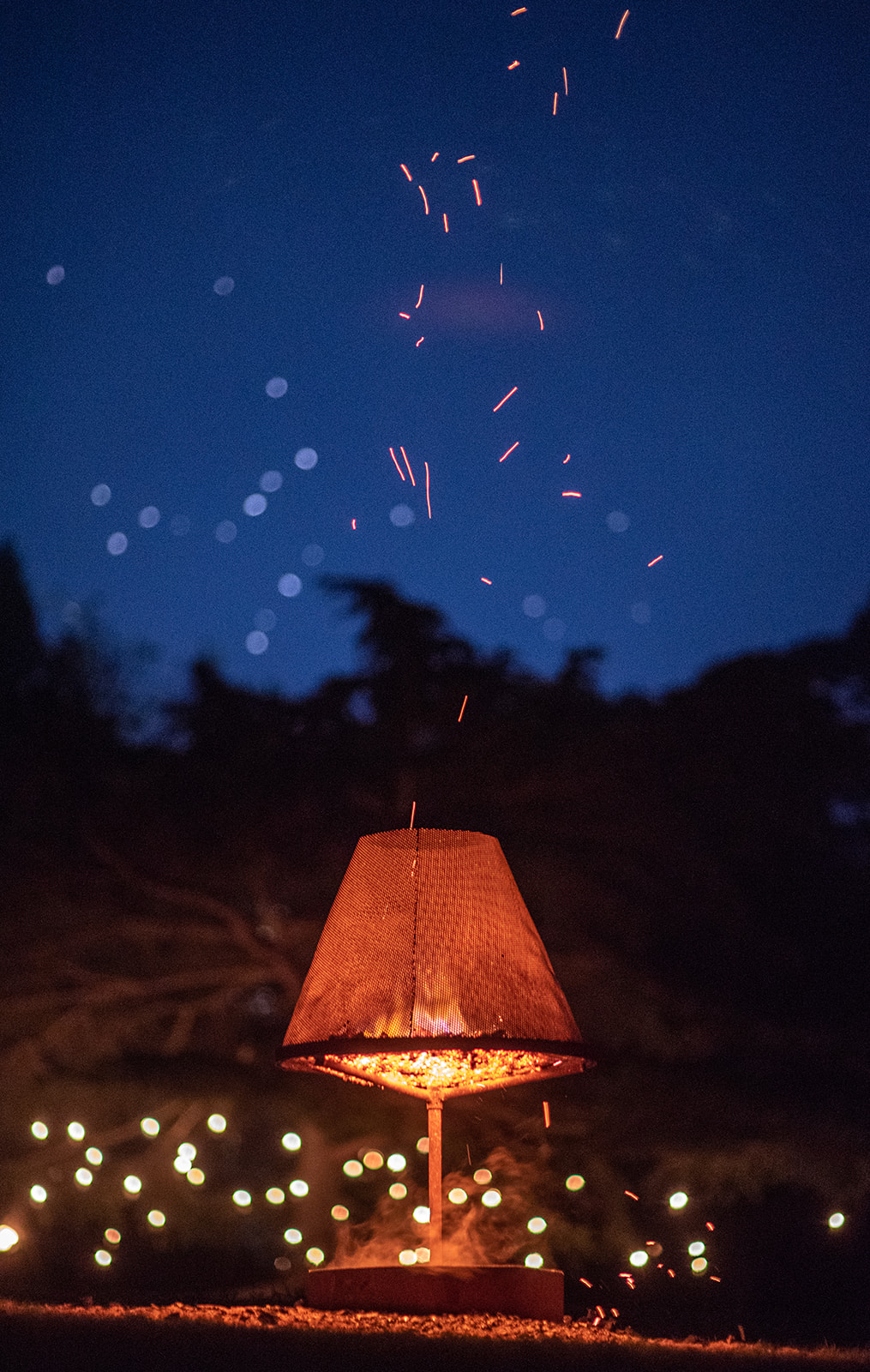 Fire_Gardens_2018_Melb-121.jpg