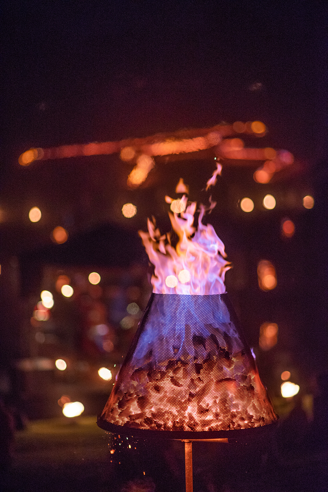 Fire_Gardens_2018_Melb-100.jpg