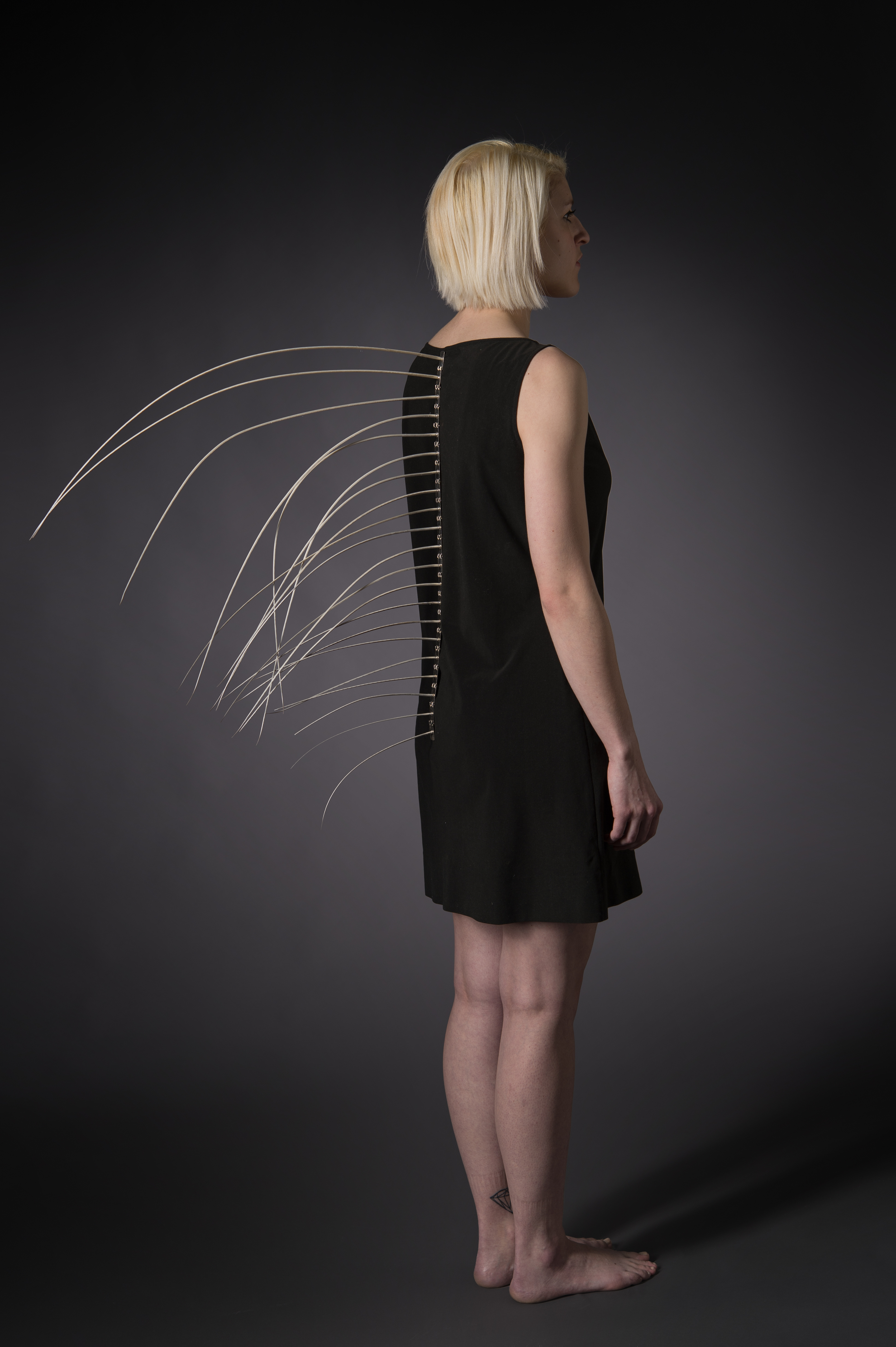 Inspired by evolution and by mimicry in nature, this piece is intended to partially transform the wearer into something more than human. The piece consists of 21 sterling silver links hinged in a line, each holding the quill of a peacock feather. Each quill, stripped of its colorful plumage, has a beautiful form and a subtle gradation in color along one side, evolutionary marvels that go unnoticed beneath the dazzling colors for which the peacock is known. The piece is held on by snaps which pinch the fabric of the wearer's clothing at the back of the neck. Sterling Silver, Peacock Feather Quills 21"x24"x3/8" 2014